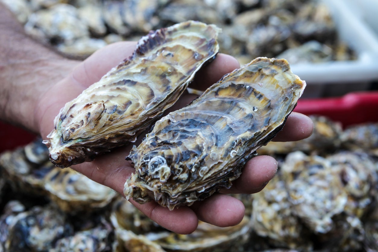 Warmer coastal waters create better conditions for Vibrio bacteria to multiply