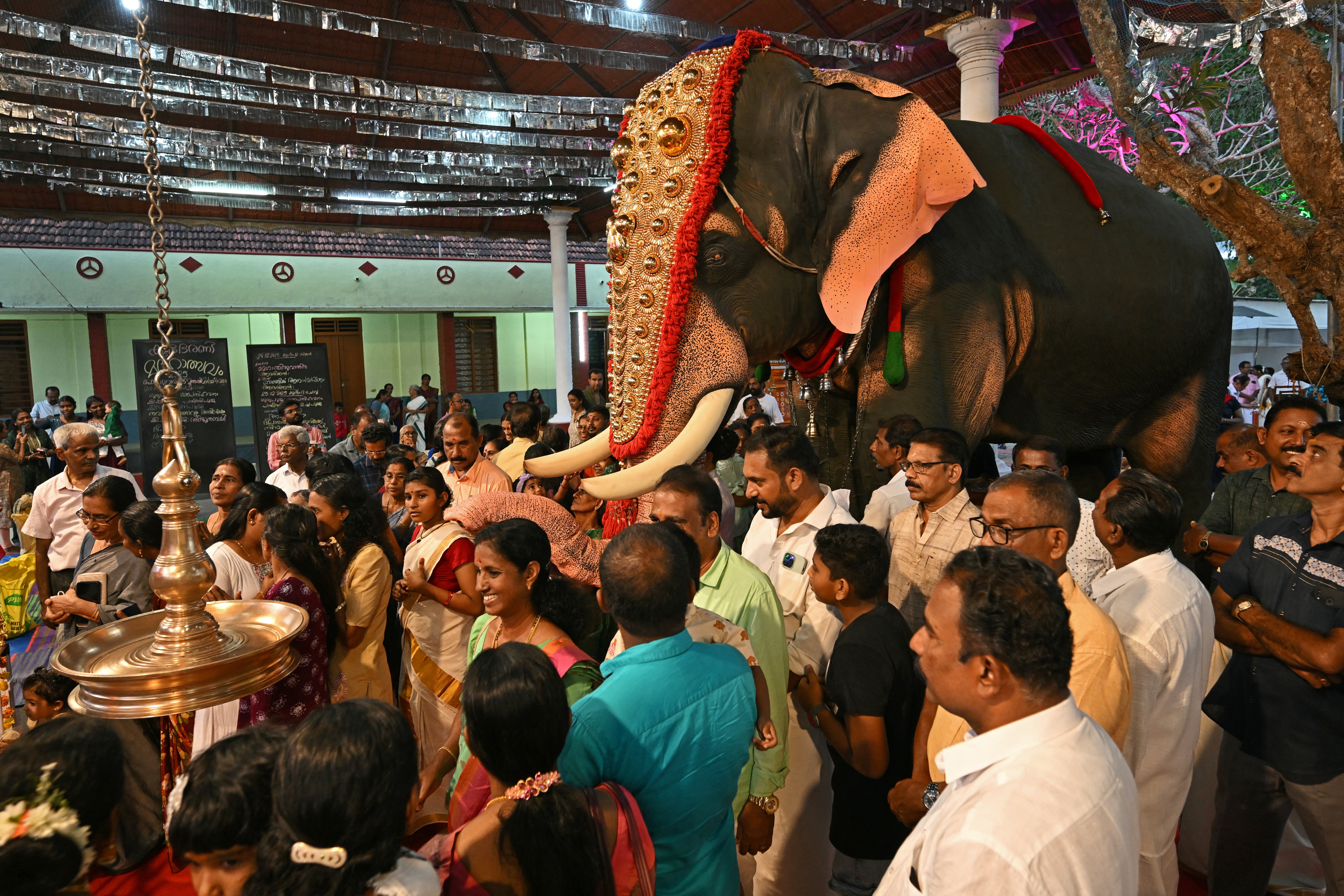Hindu devotees gather around an adorned robotic elephant, newly donated by the Voice for Asian Elephants Society (VFAES) for religious rituals at the Chakkamparambu Bhagavathy temple in Thrissur, in India's Kerala state (AFP/Getty)
