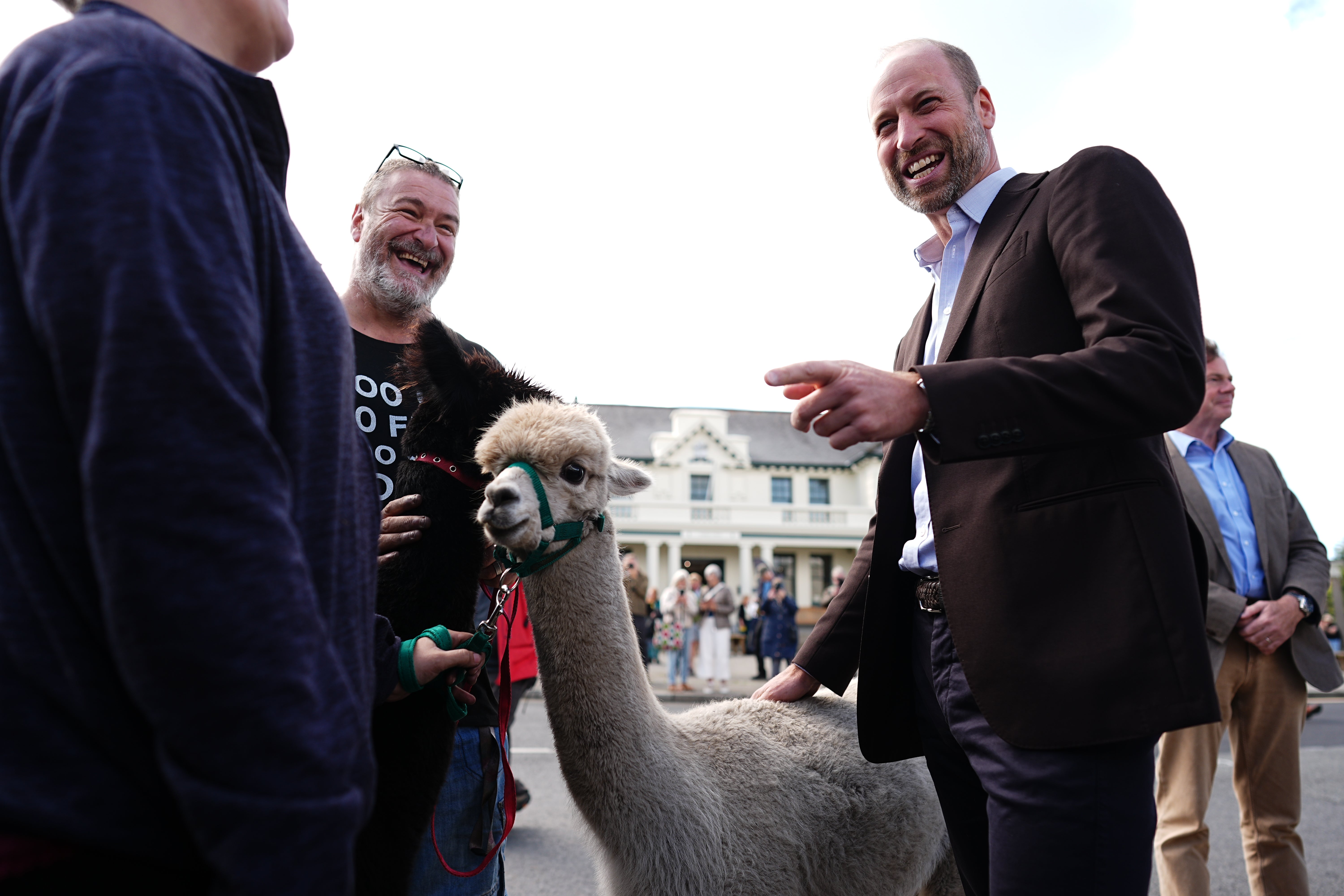 Prince William meets an alpaca during a visit to Princetown (Getty)