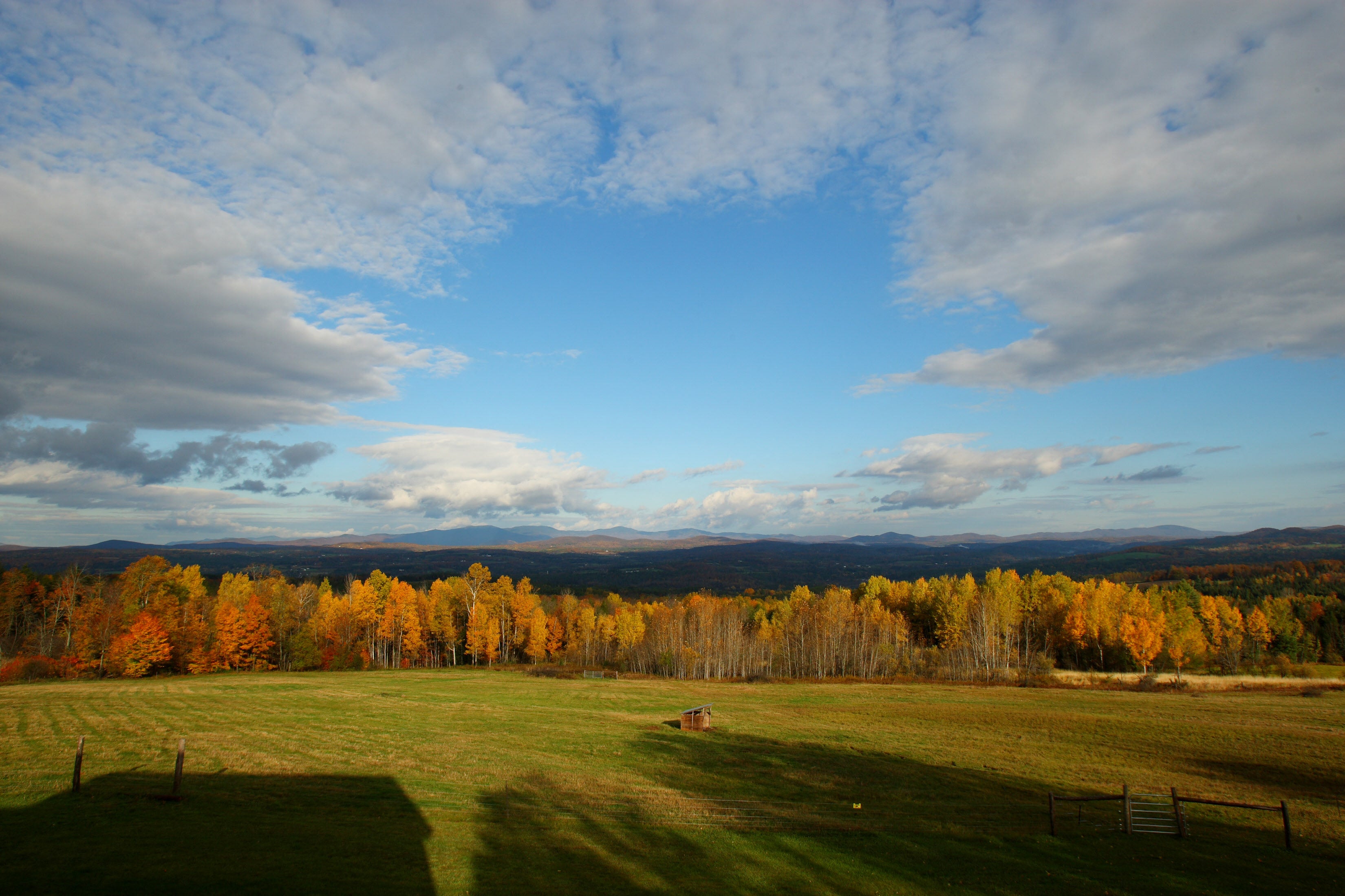Students at Mountain School of Milton Academy in Vershire, Vermont, split their time between traditional classes and eight hours of weekly farm work, from caring for livestock to harvesting crops
