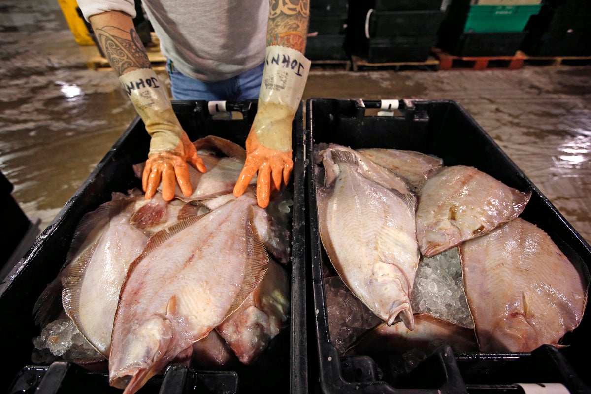 Massachusetts launches “Flat is Back” campaign to boost flounder consumption