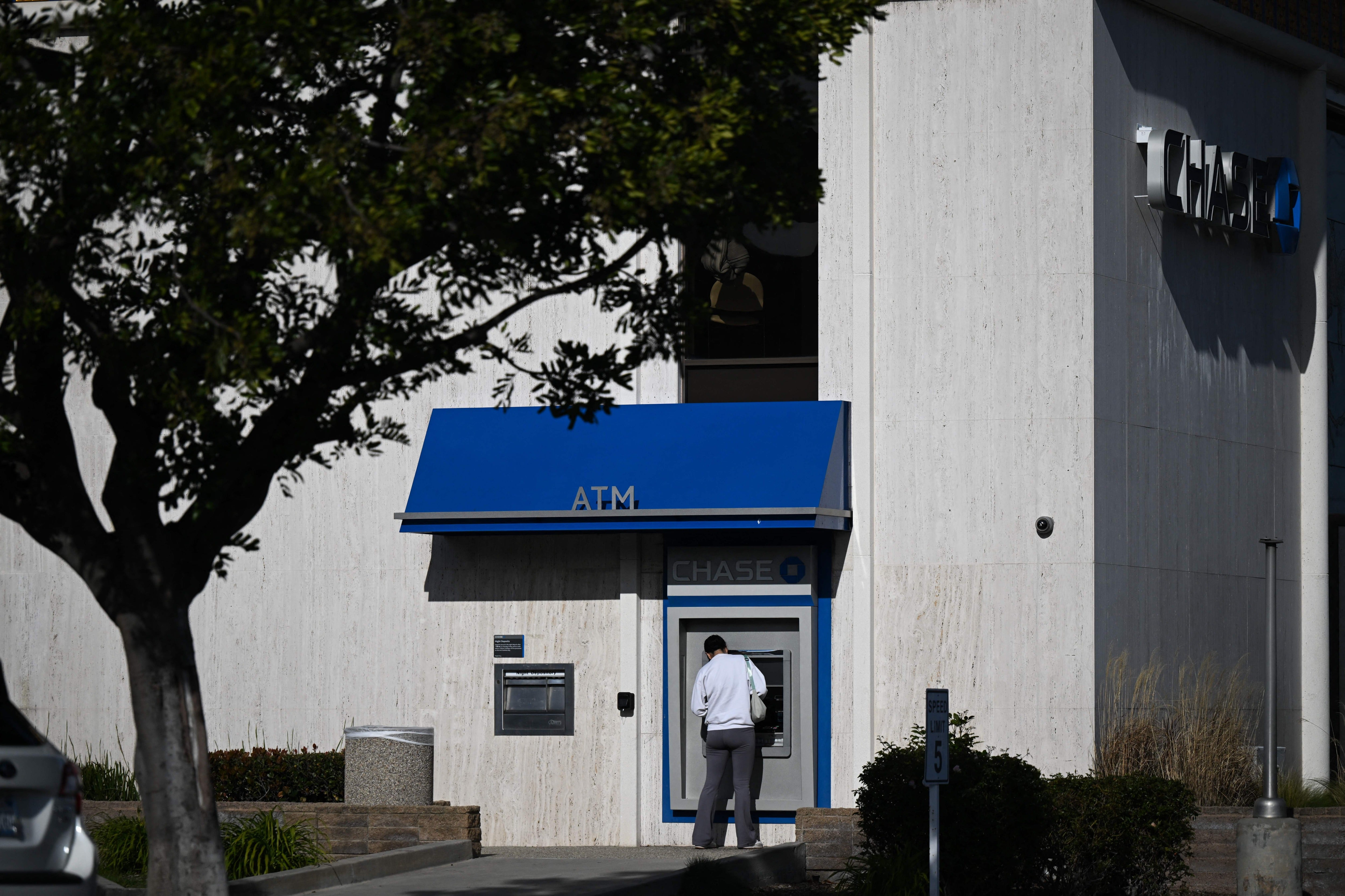 A large transfer was recalled by Chase Bank, which feared Marianne Flippo was being defrauded, according to court filings
