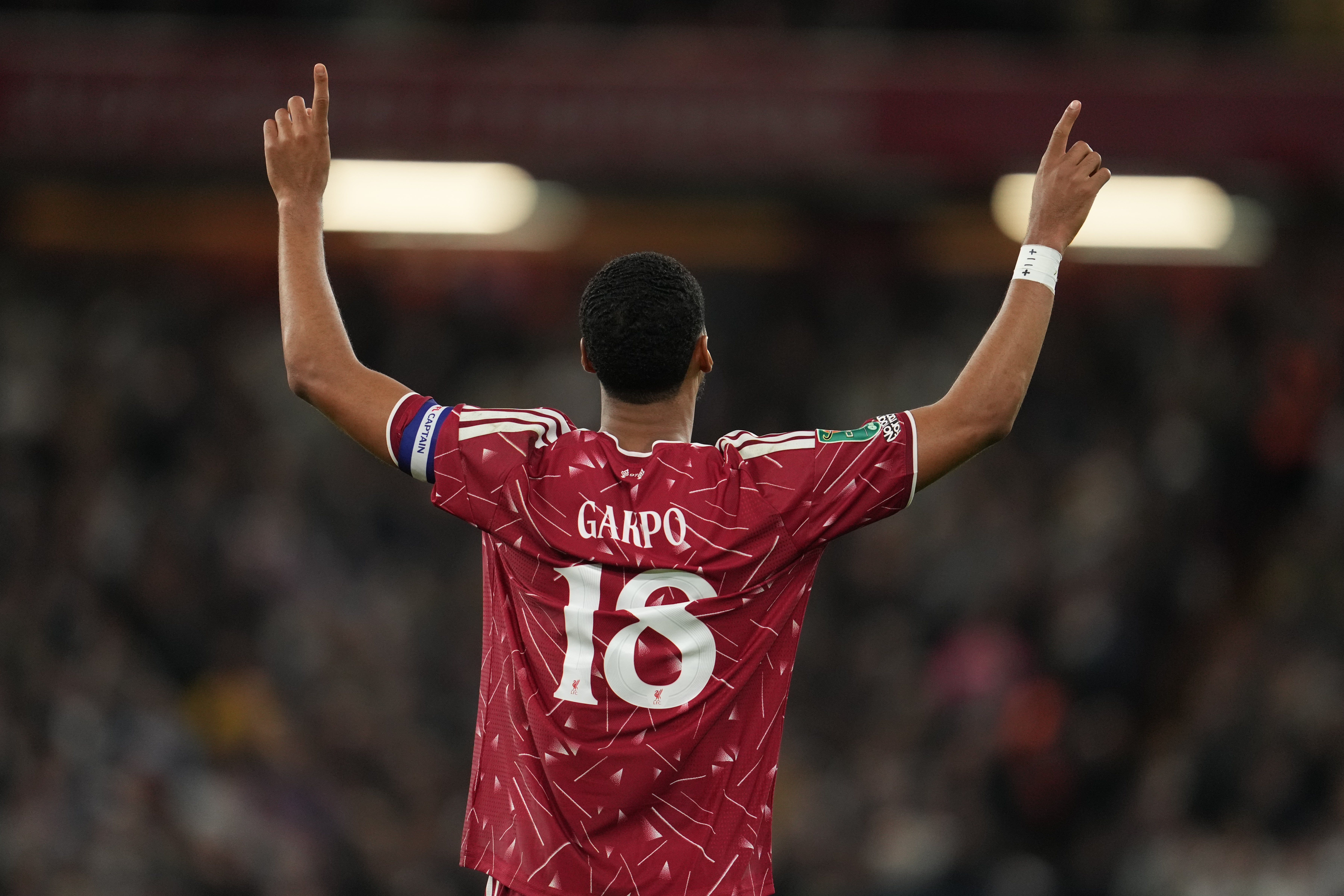 If Tottenham had their way, Gakpo would have been scoring for them