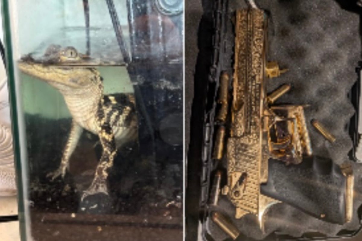 Alligator, golden gun and 42kg of fentanyl found in raid of luxury LA apartment