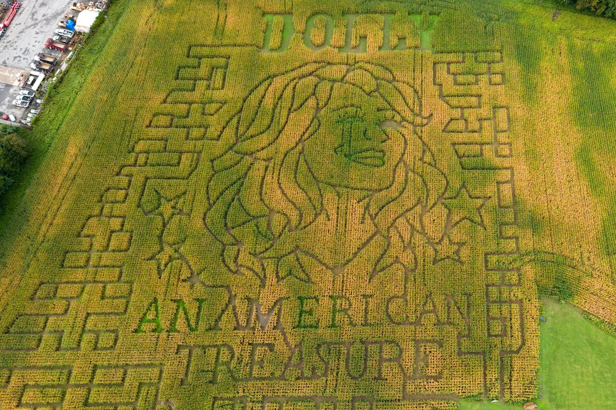 Corn maze tributes for Dolly Parton open at twenty farms in North America