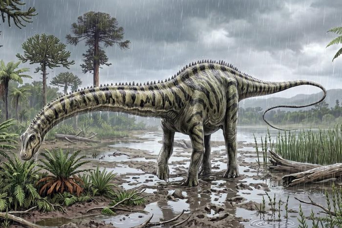 Scientists perplexed as iconic dinosaur thought unique to America is found in Spain Scientists perplexed as iconic dinosaur thought unique to America is found in Spain