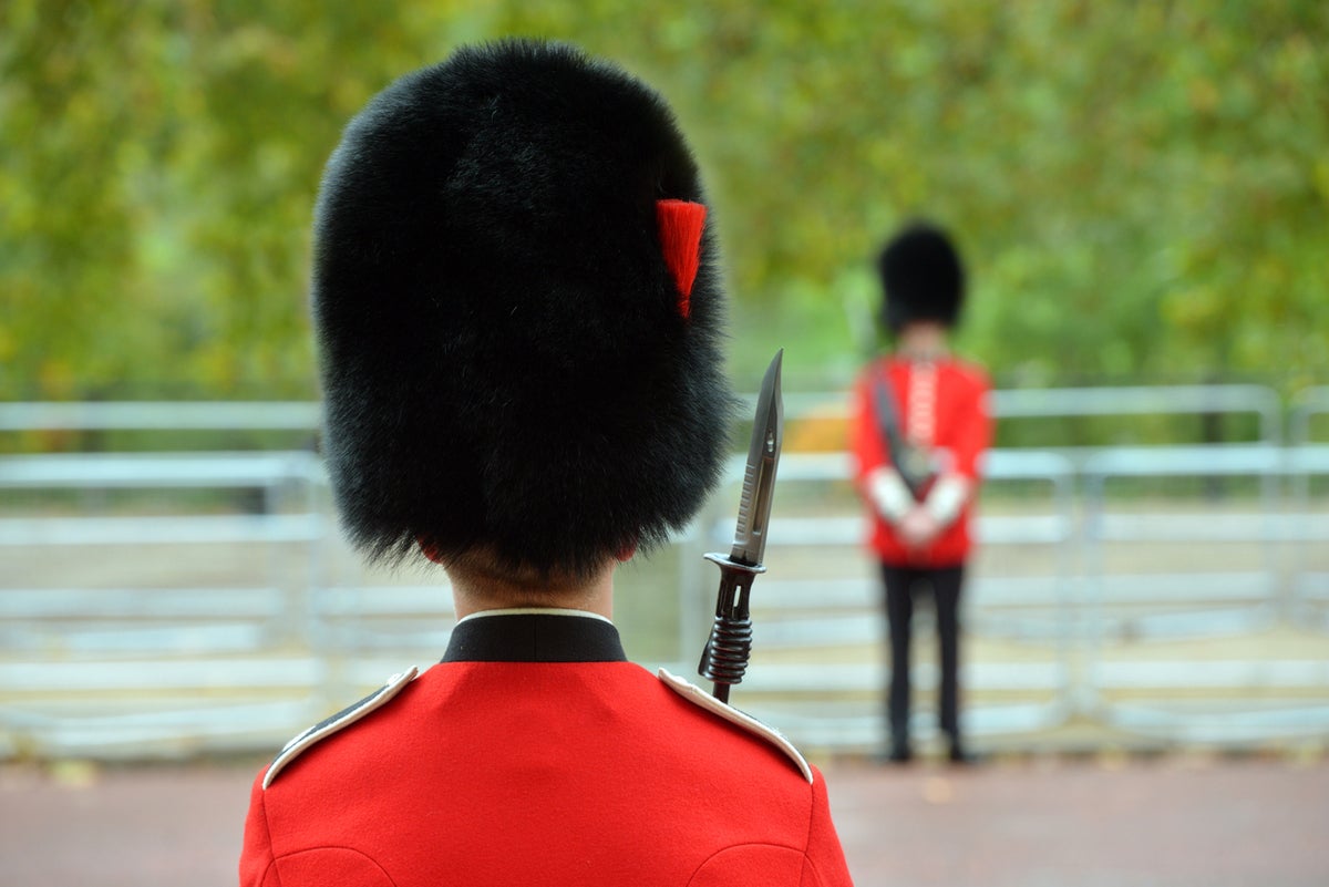 Famous bearskin hats worn by Buckingham Palace guards face axe over ‘ethical’ concerns