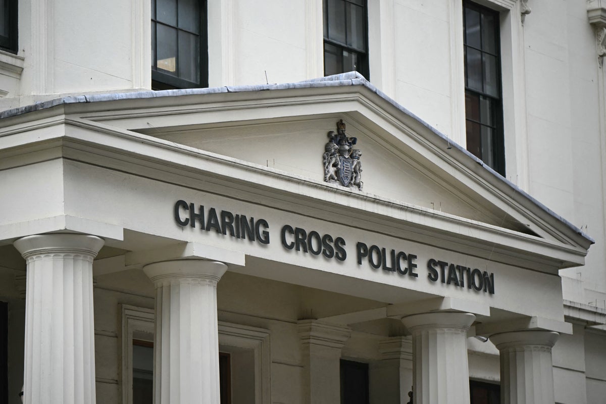 Investigation launched after man found dead in custody at troubled Met Police station