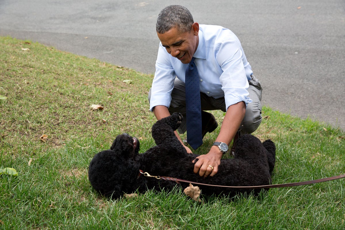Barack Obama announces death of family dog Sunny