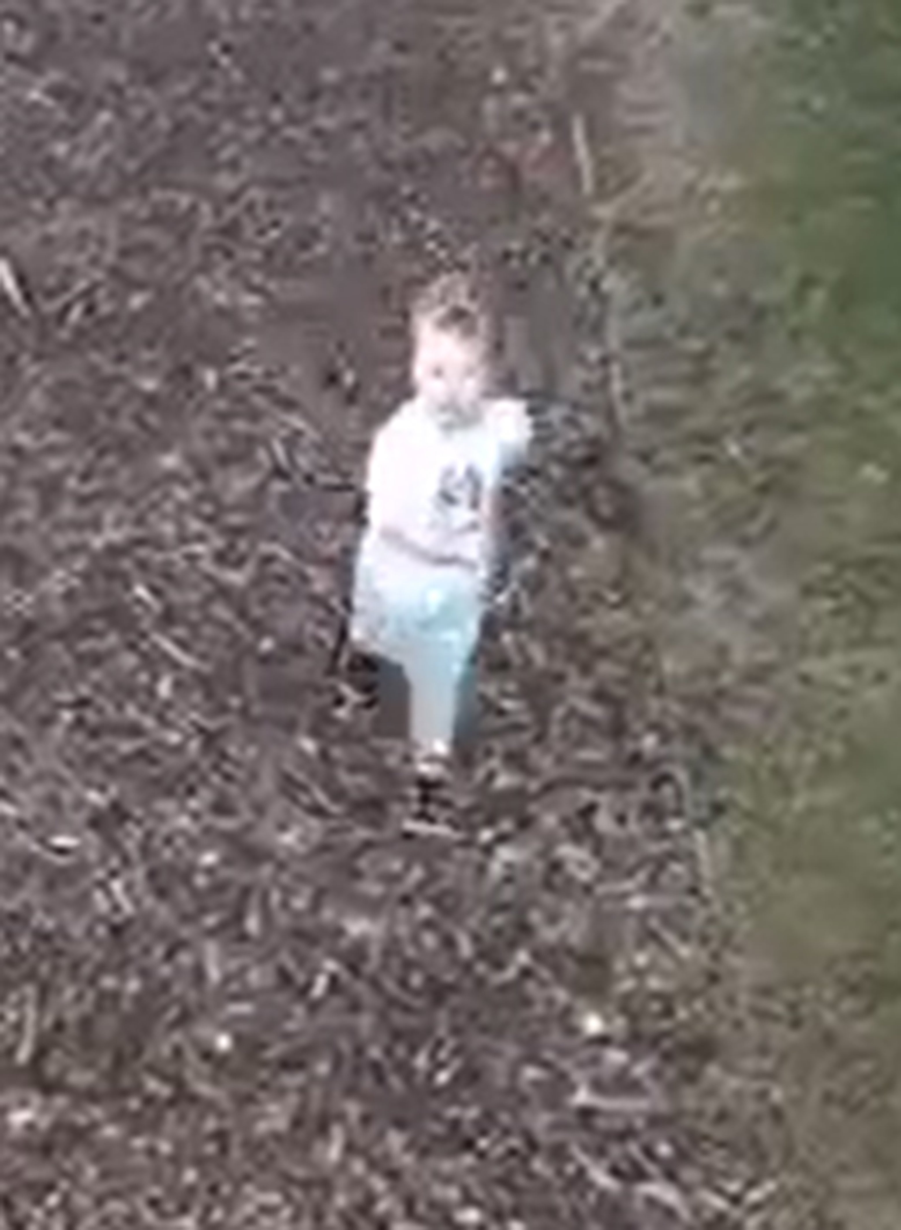 Noah Woods missing: Watch as police issue update on hunt for missing 3-year-old Noah Woods