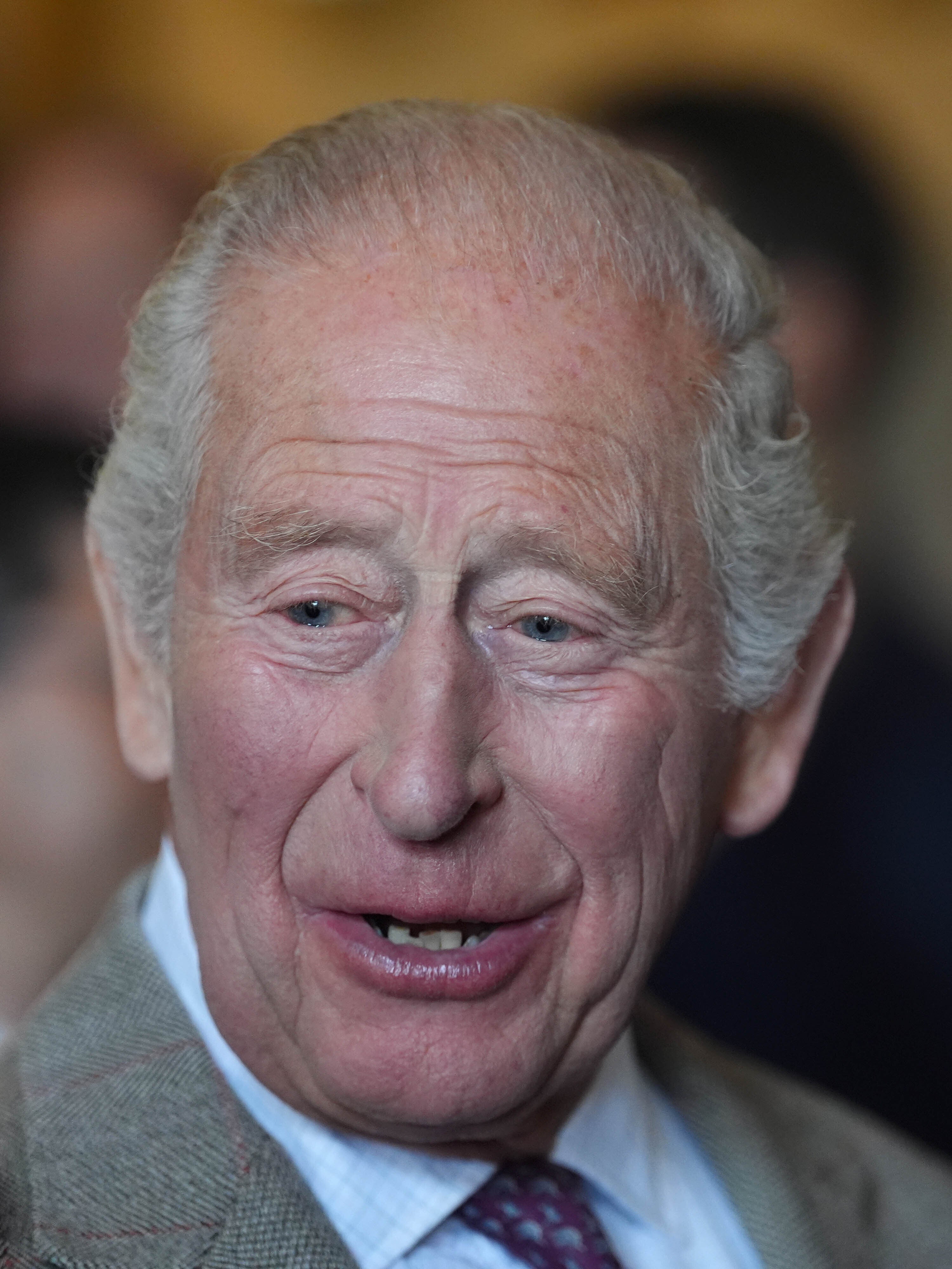 The King is known for his efforts to promote sustainable living (Jonathan Brady/PA) (PA Wire)