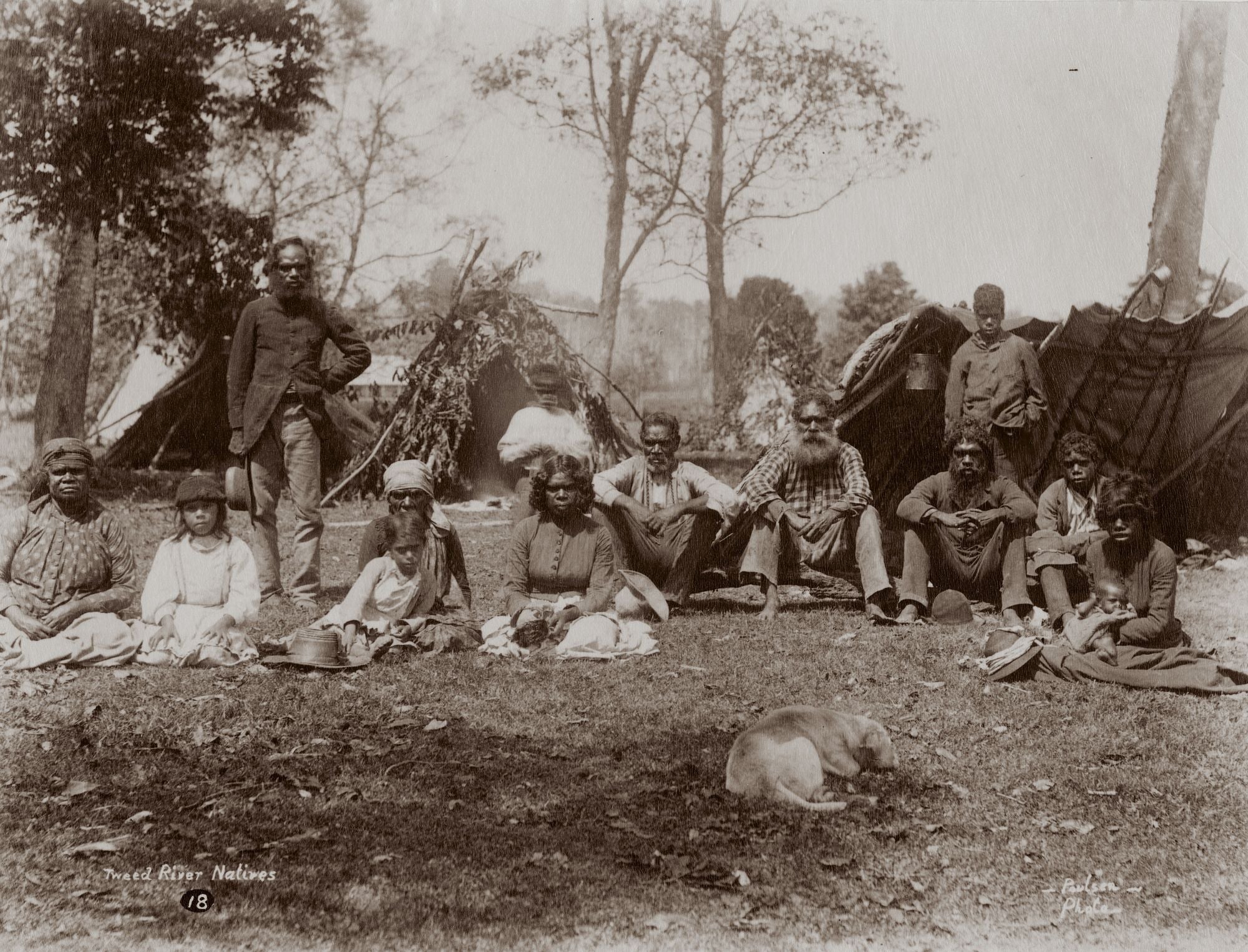 Australia may have had a much larger Indigenous population before Europeans arrived