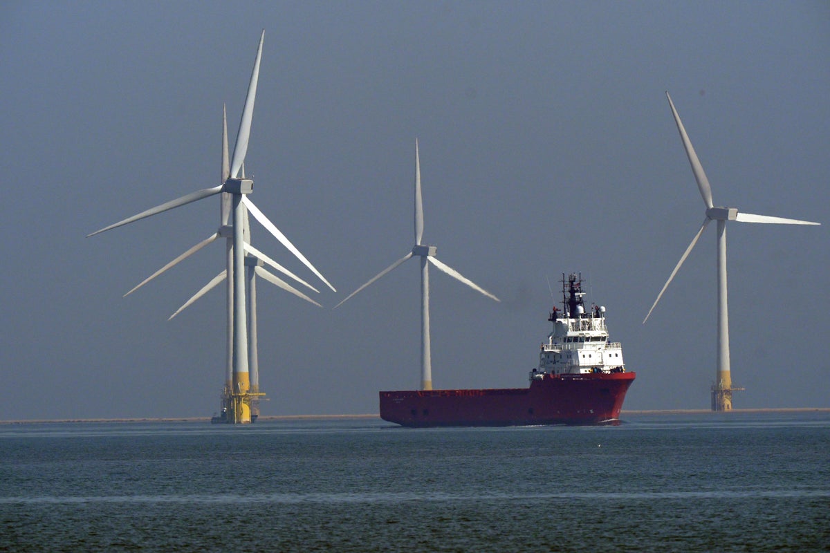 Watchdog Urges Transparency on Scottish Government's £755 Million Wind Power Revenue