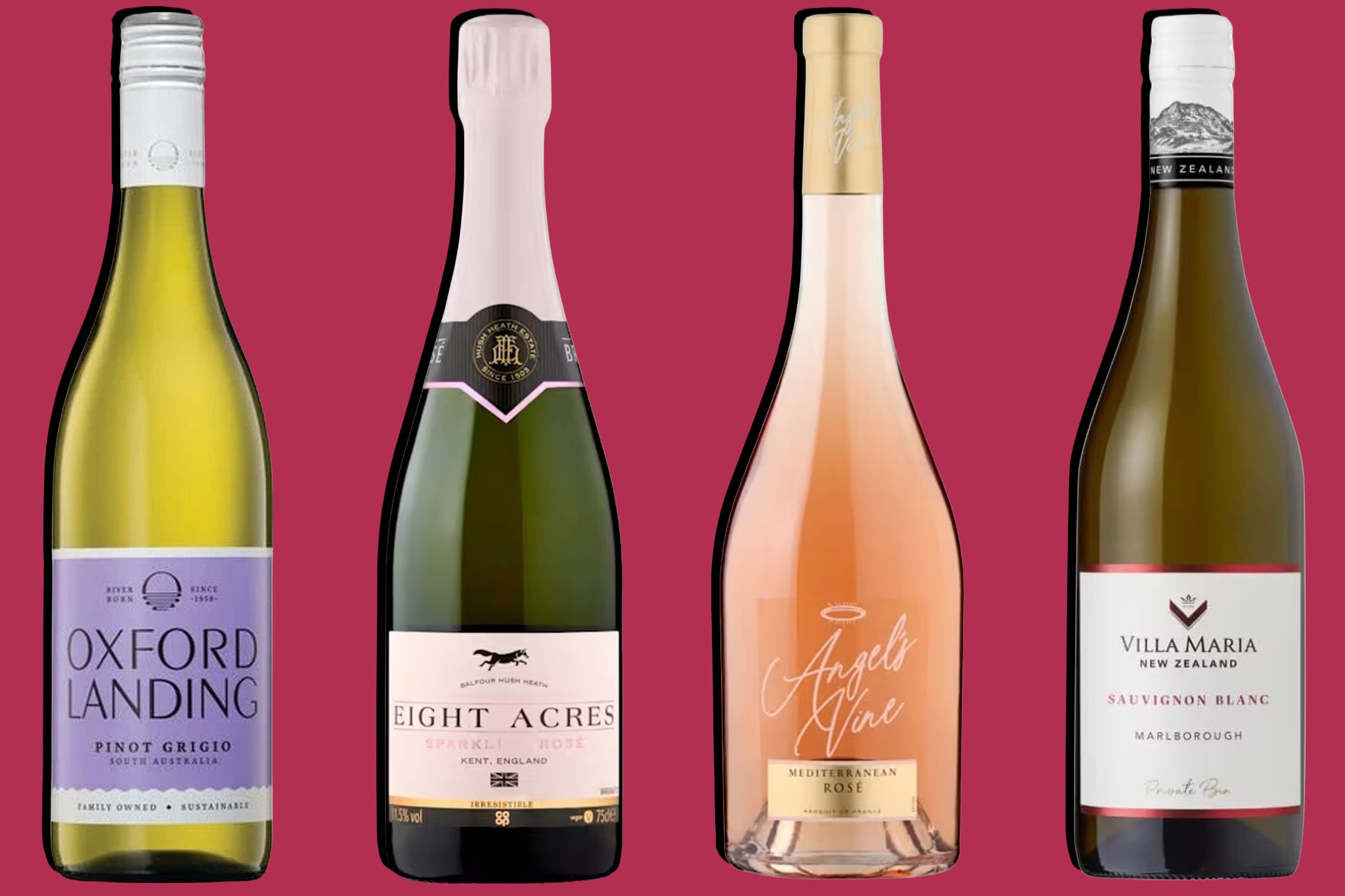 From easy-drinking Pinot Grigio to English sparkling rosé, the first four picks all punch above their price