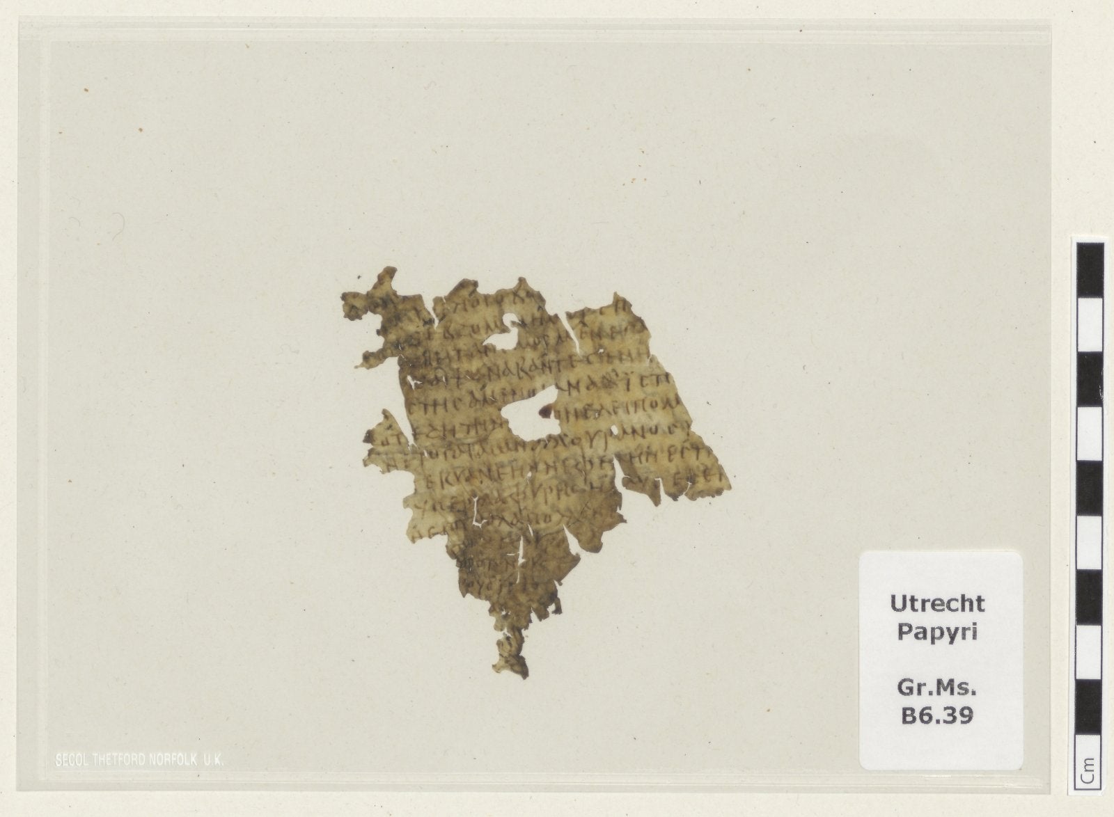 Fragment on parchment