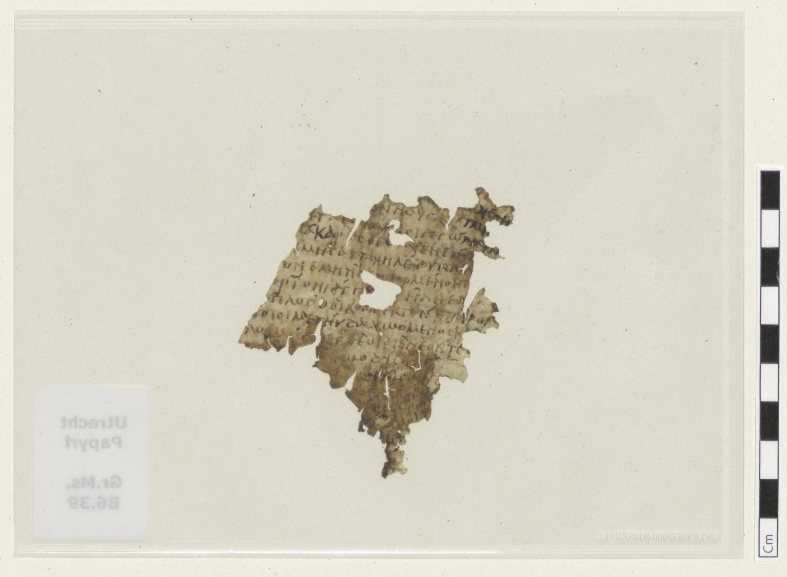 The back of the fragment on parchment
