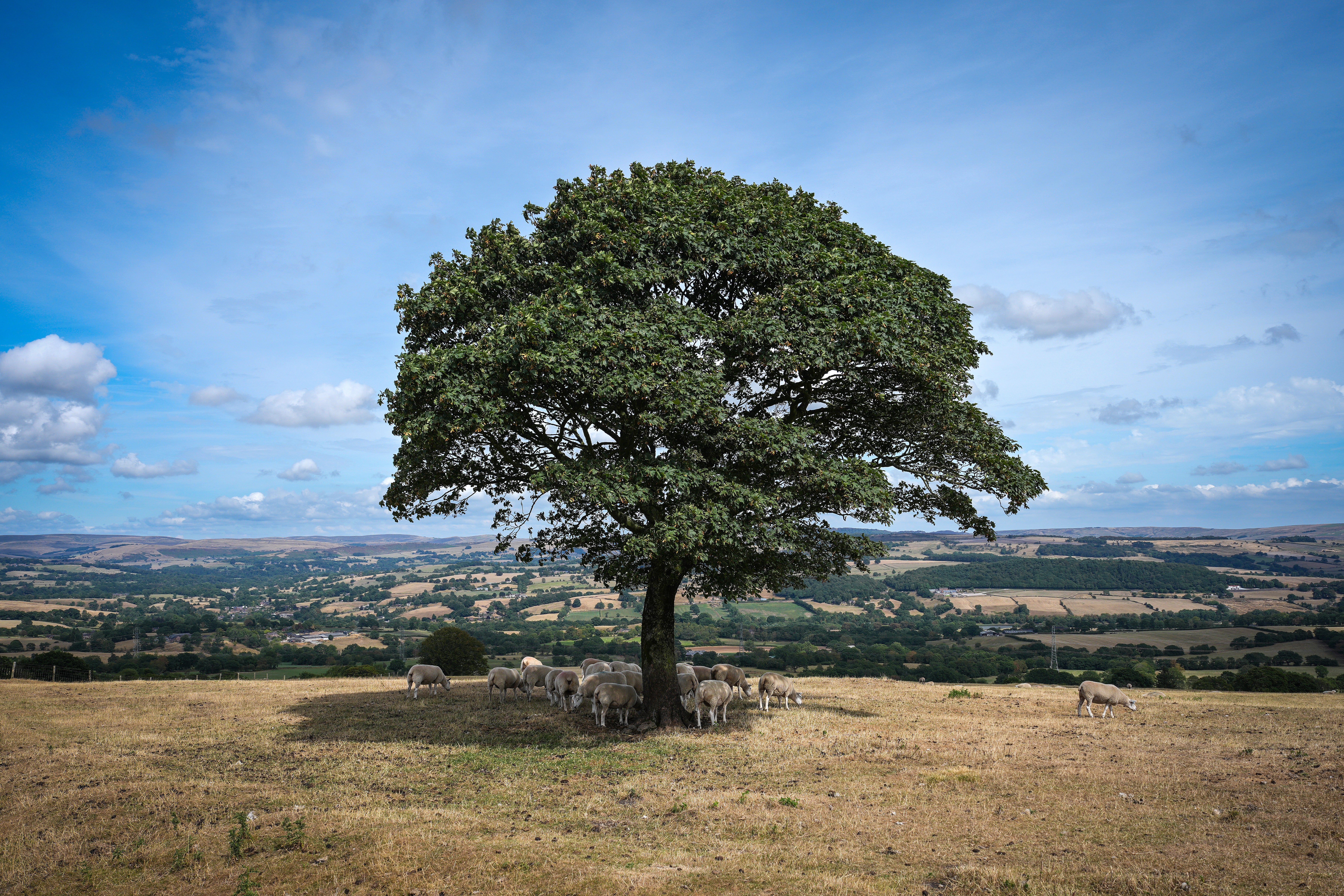 https://static.independent.co.uk/2026/09/18/09/2290476766..?trim=0,0,0,0&width=1200&height=800&crop=1200:800