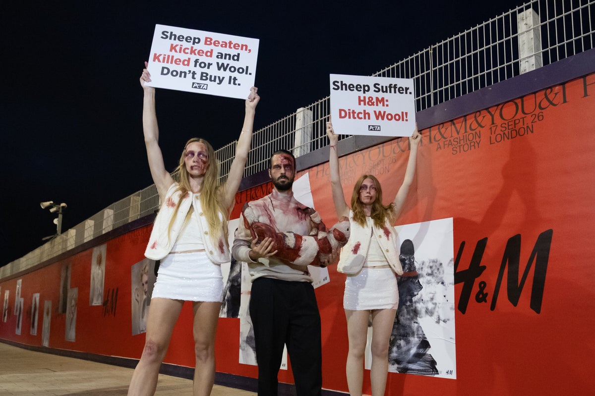 After the ban on real fur, should the fashion industry ban wool next? 