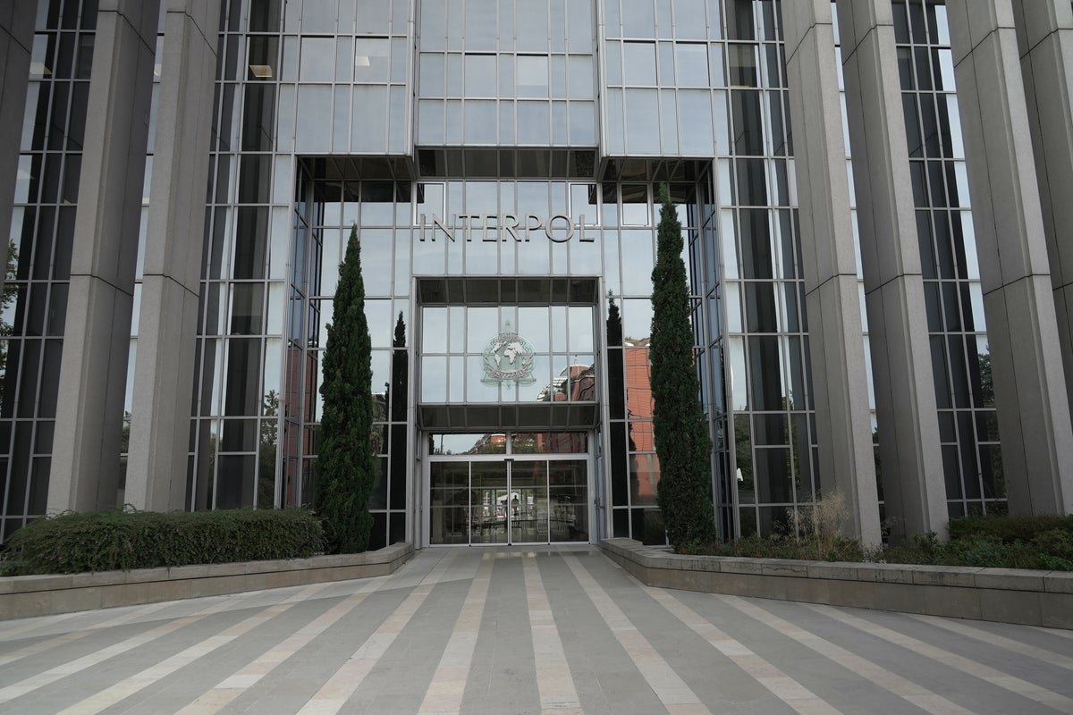Interpol rolls out new tool to trace hidden criminal assets