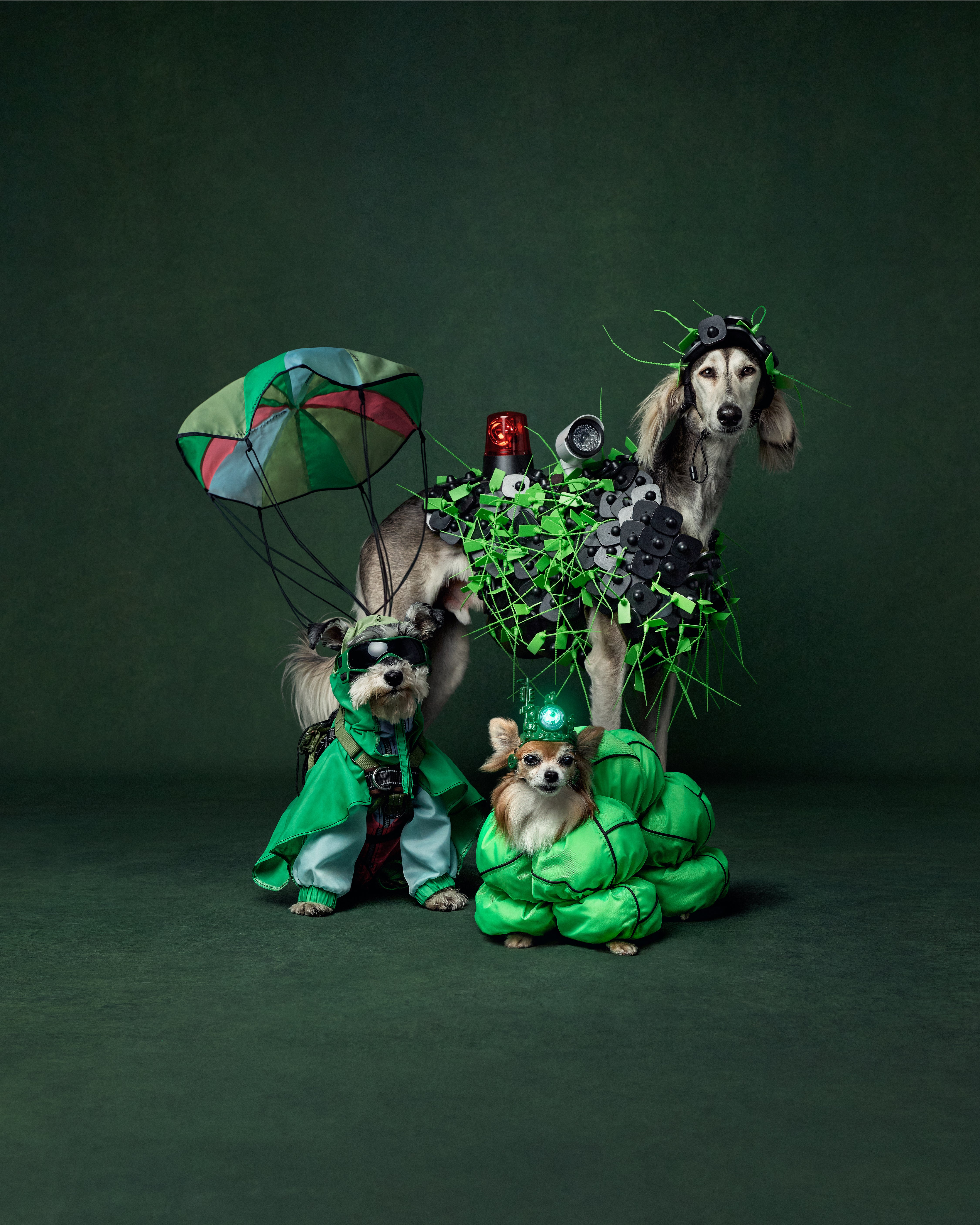 The three dogs who appeared on the runway in their outfits during a photoshoot before the show (Karl Hugill/PA)