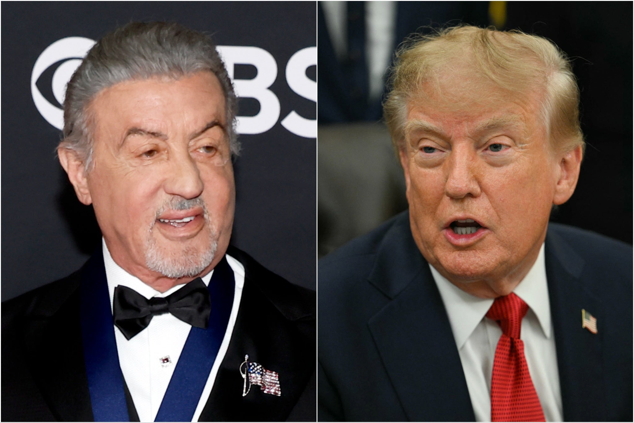 Sylvester Stallone sagt, er habe von seiner Ernennung zum ...