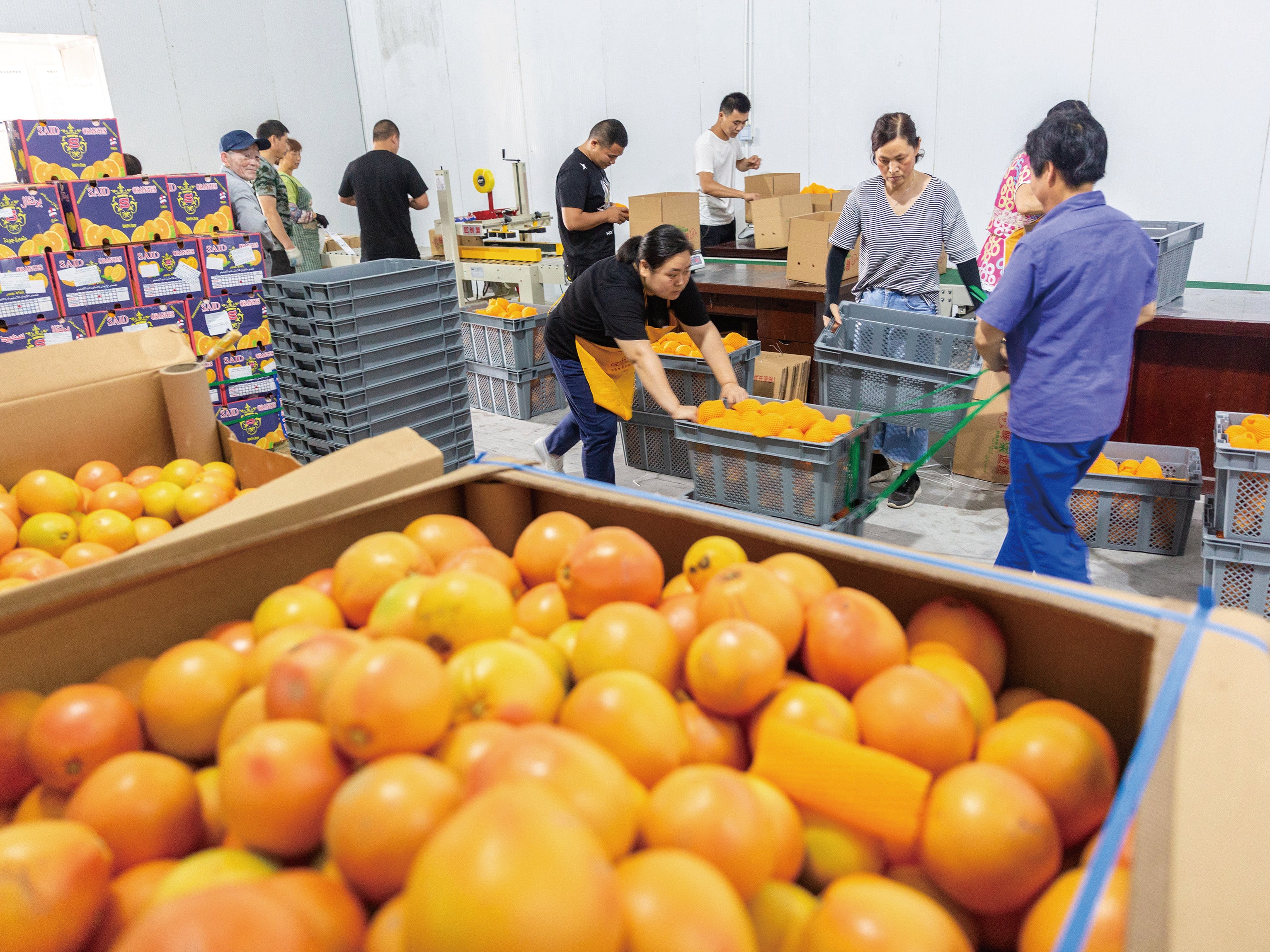 China’s Imports Outpace Exports for Sixth Straight Month in August