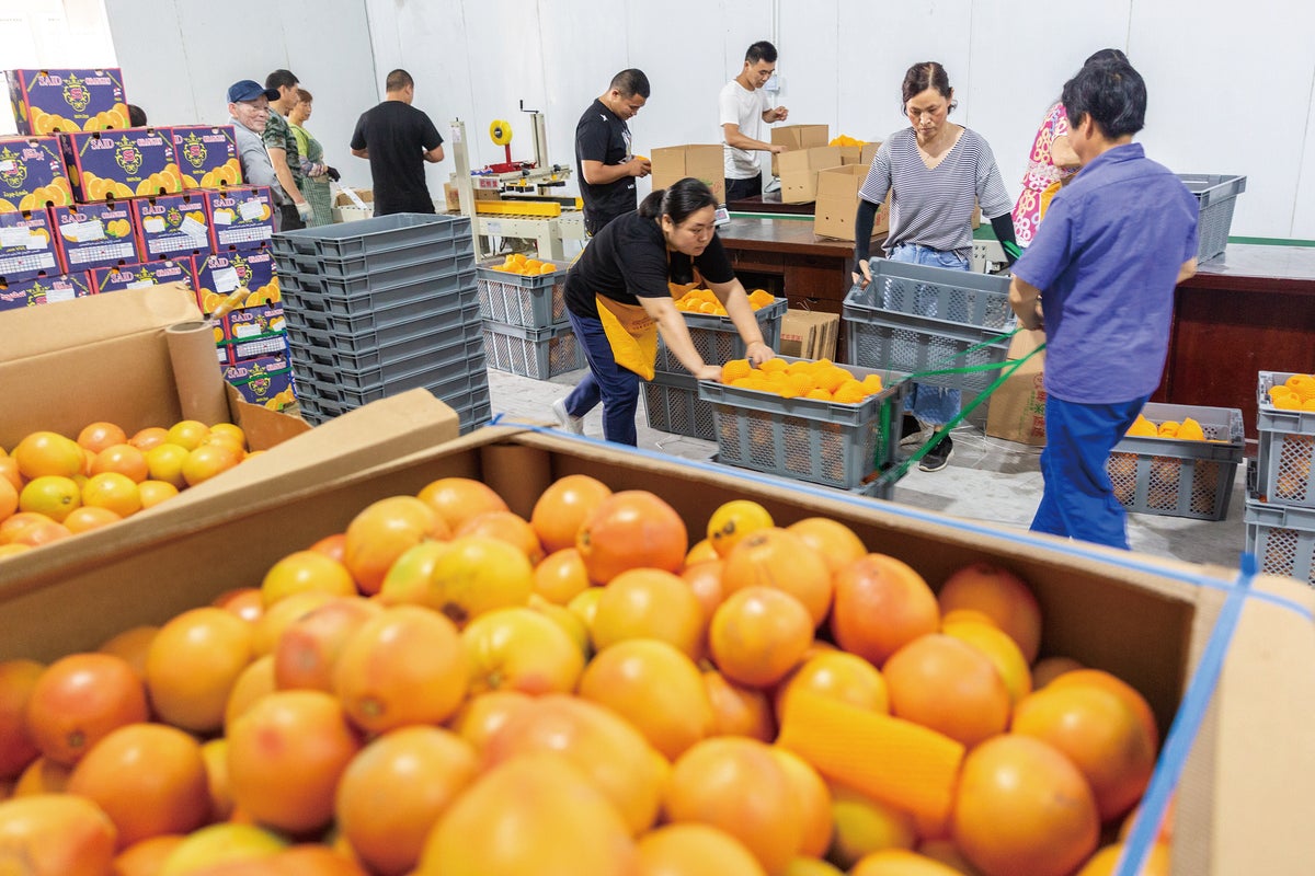 Import growth benefits global businesses