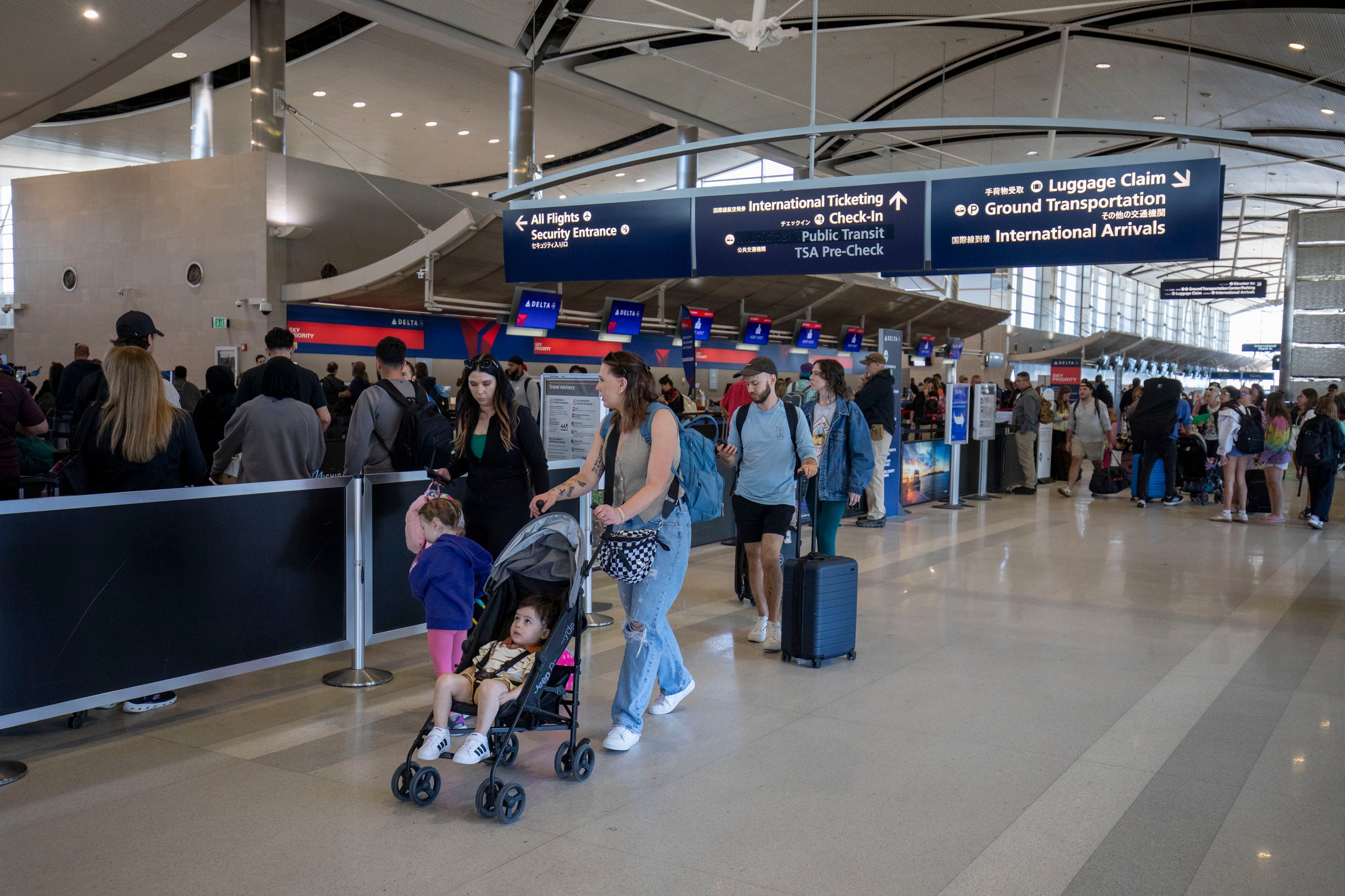 The insects were discovered at Detroit Metropolitan Airport, while feeding on bark being transported by a passenger travelling from Cameroon to Illinois