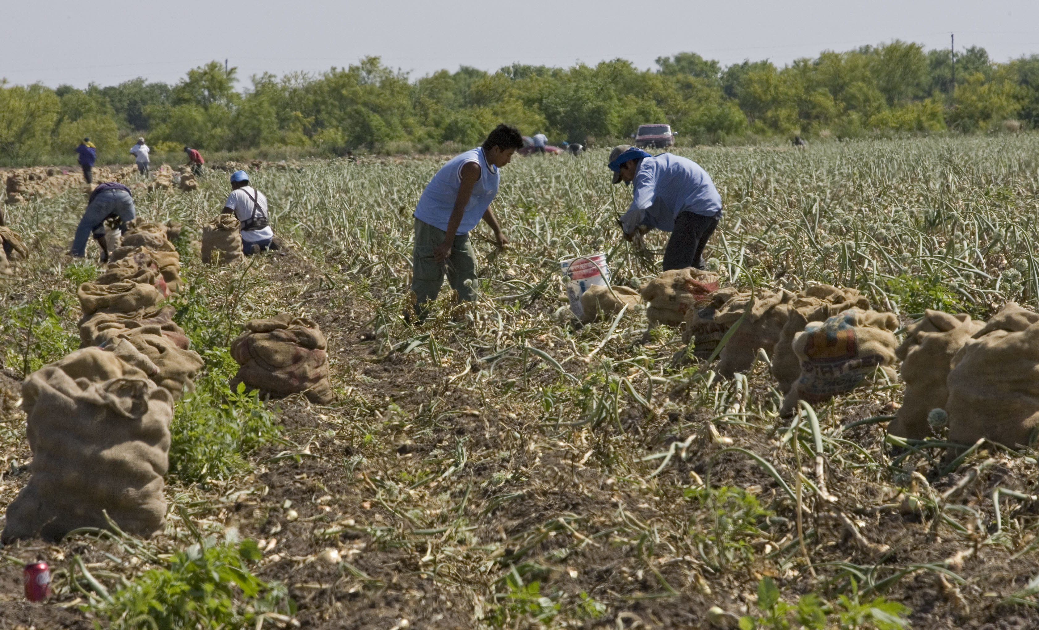 Health officials in Texas have reported an increase in CKDu cases, though it was not immediately clear how many recent cases there have been
