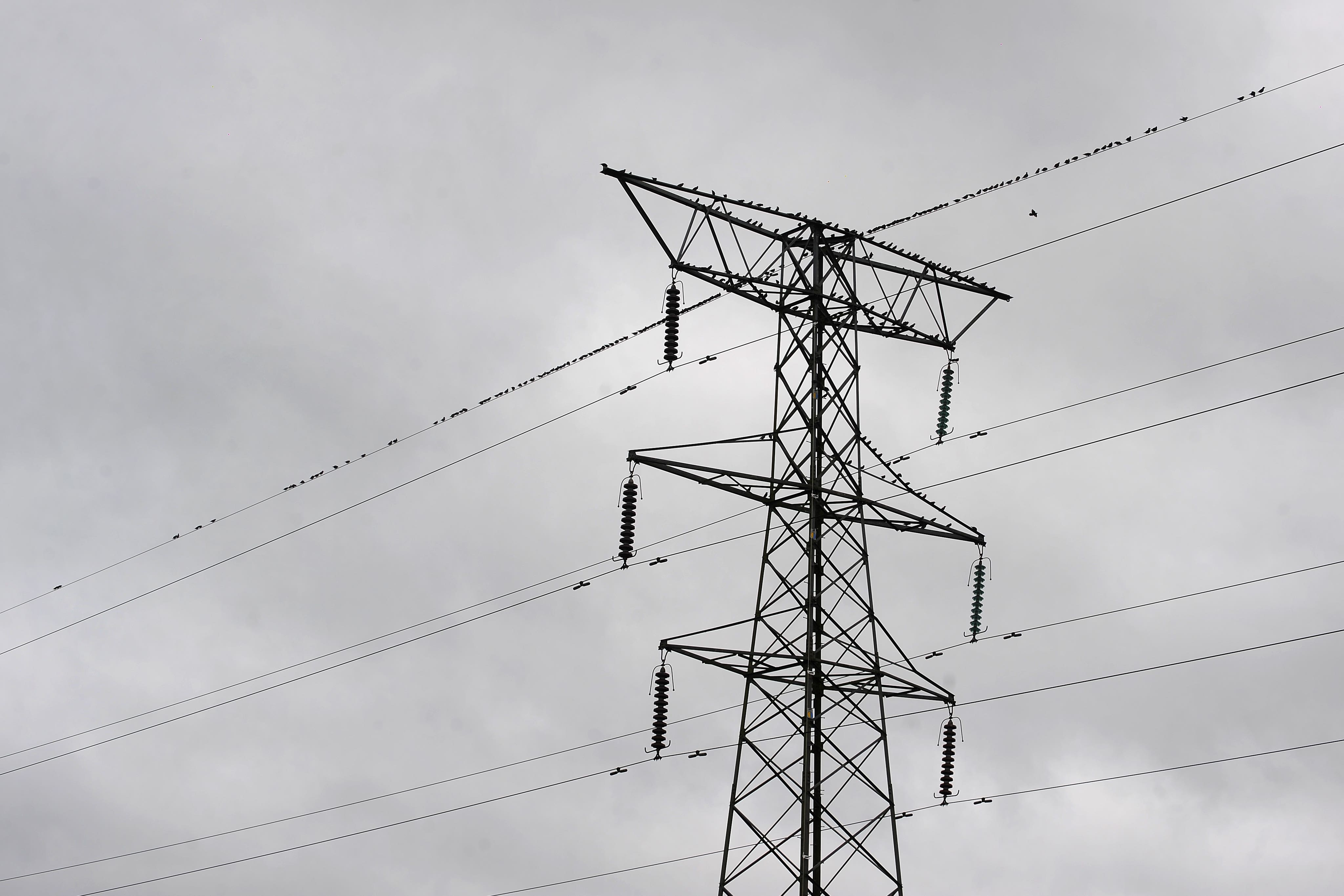 independent.co.uk - Josie Clarke - Household electricity bills could fall if time-varying prices promoted - report