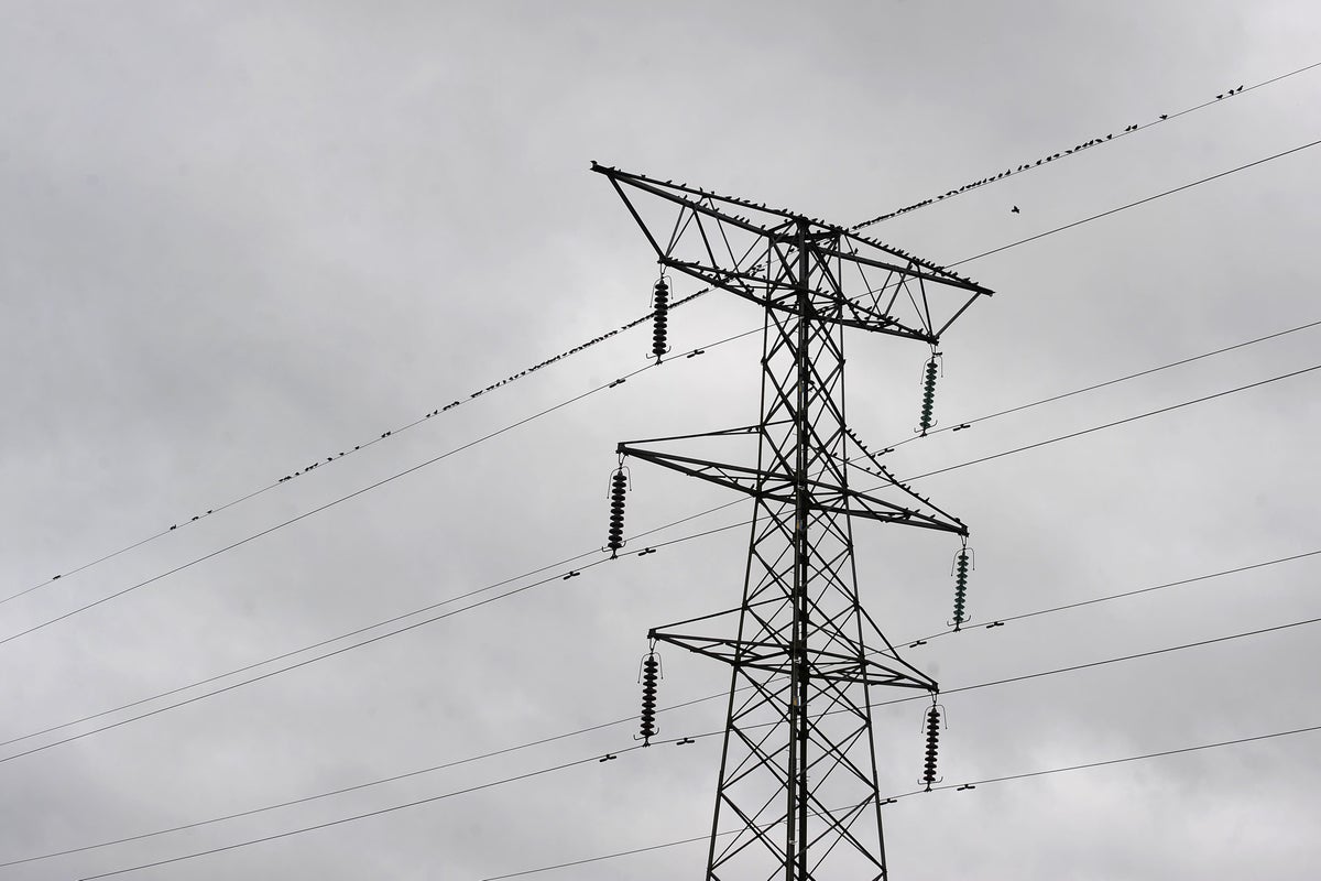 Household electricity bills could fall if time-varying prices promoted – report