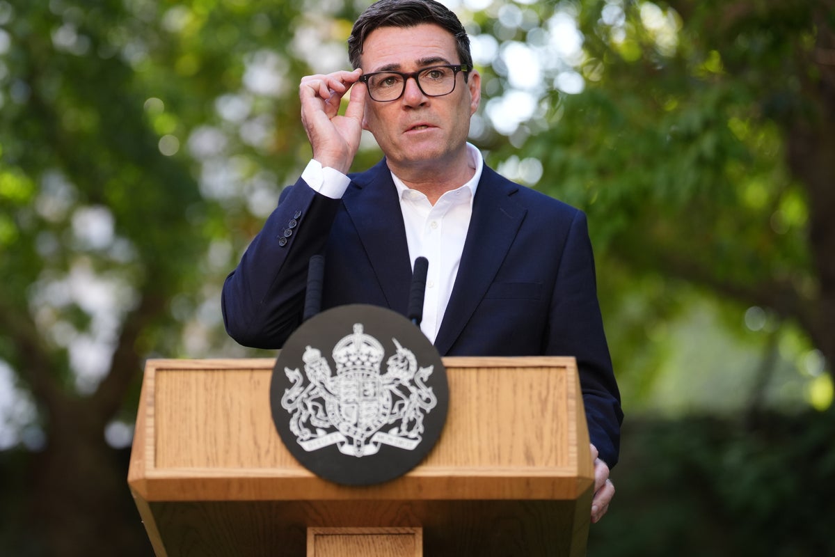 Andy Burnham’s advisers ‘pushing for early election’