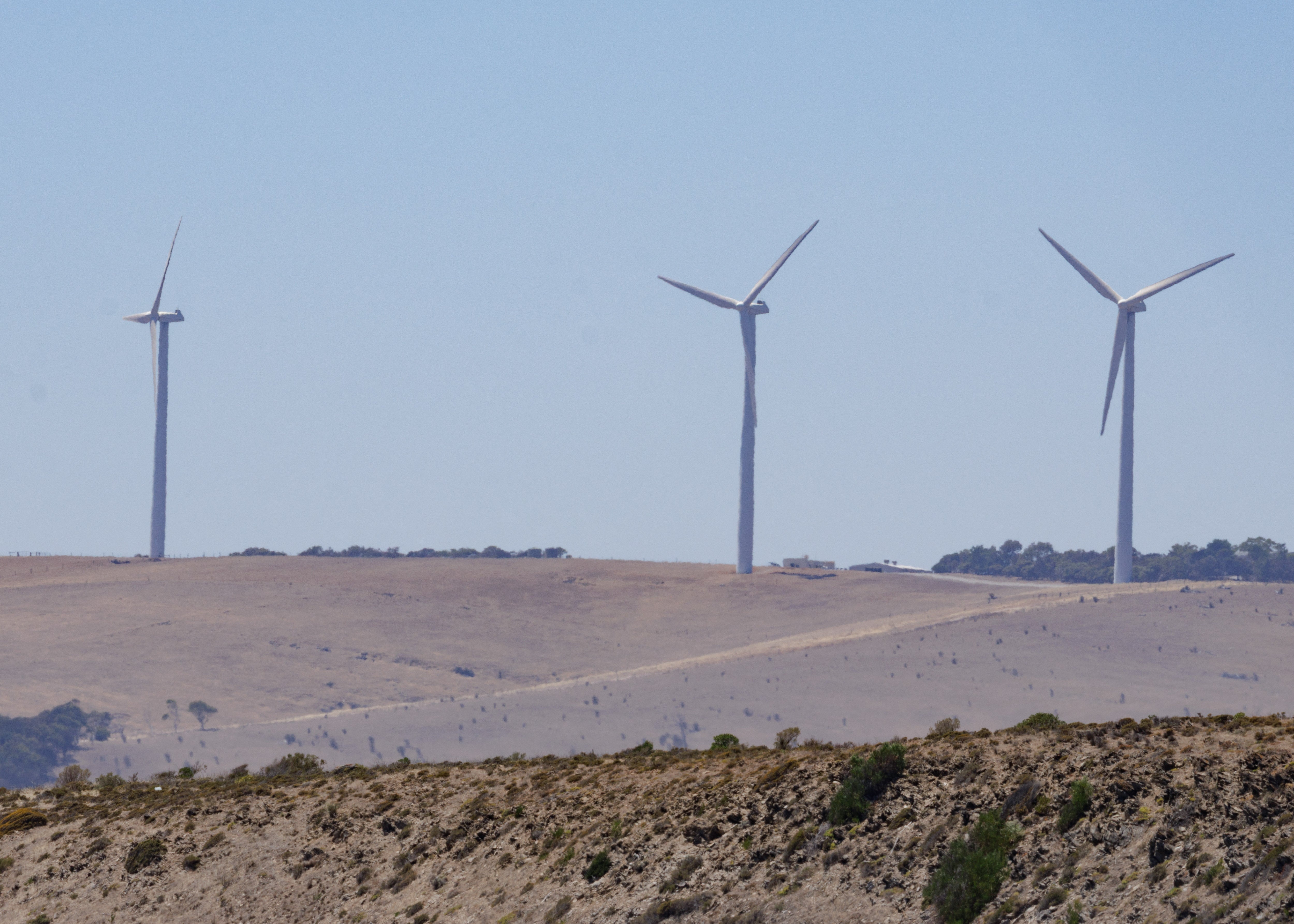 independent.co.uk - Stuti Mishra - Solar and wind supply record 80% of Australia's main power grid for first time