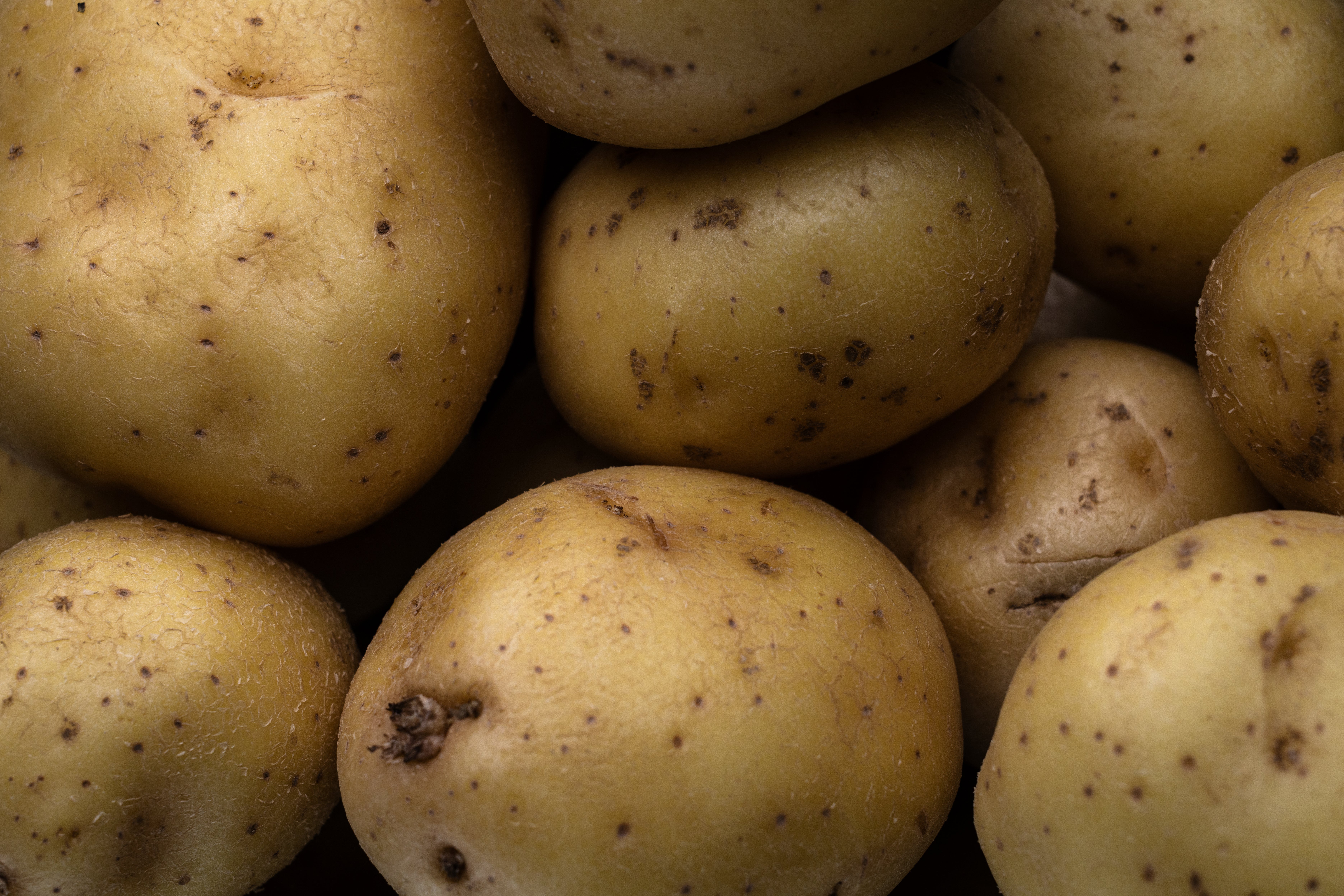 Potato plants need lots of water to produce their characteristic tubers