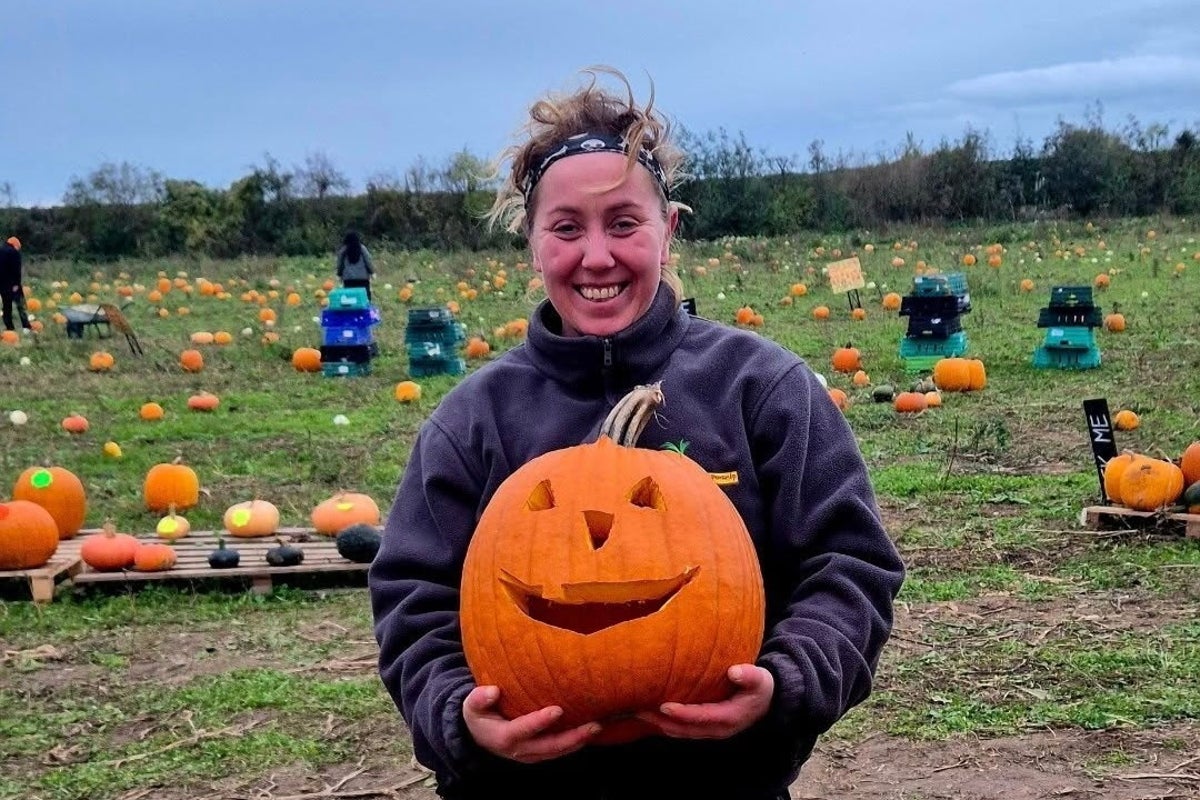 How heatwave put pay to Instagram’s favourite autumn trend: ‘I usually grow 10,000 pumpkins, this year we got 25’