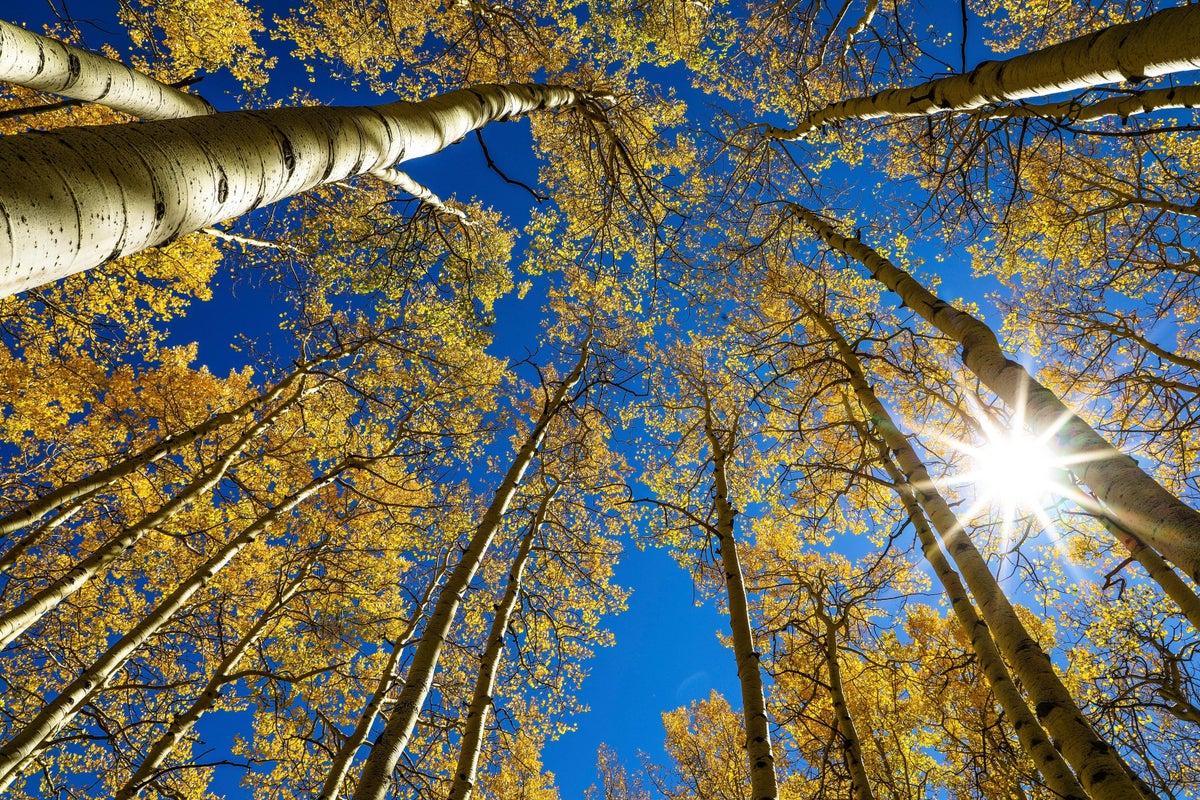 Fall equinox on Tuesday brings near-equal day and night worldwide