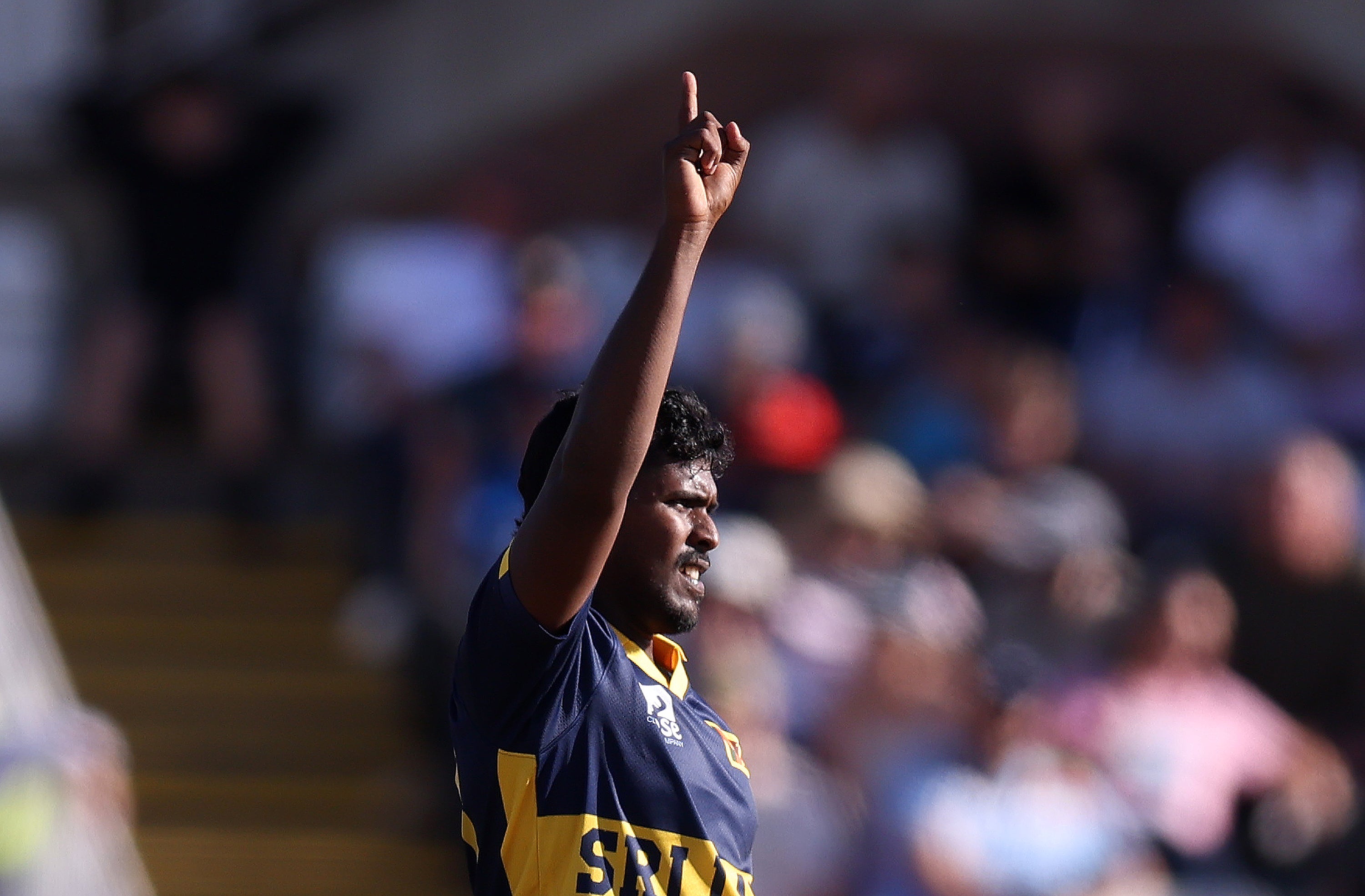Sachindu Colombage took the wicket of Joe Root on ODI debut