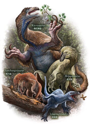 L sihedangensis is shown in a posture suggesting greater cursoriality. J yixianensis is depicted engaging in feeding, consistent with its robust hyoid apparatus. B inexpectus exhibits a robust, less cursorial bauplan. K changliensis is reconstructed browsing on higher vegetation, reflecting its larger body size and inferred feeding strategy