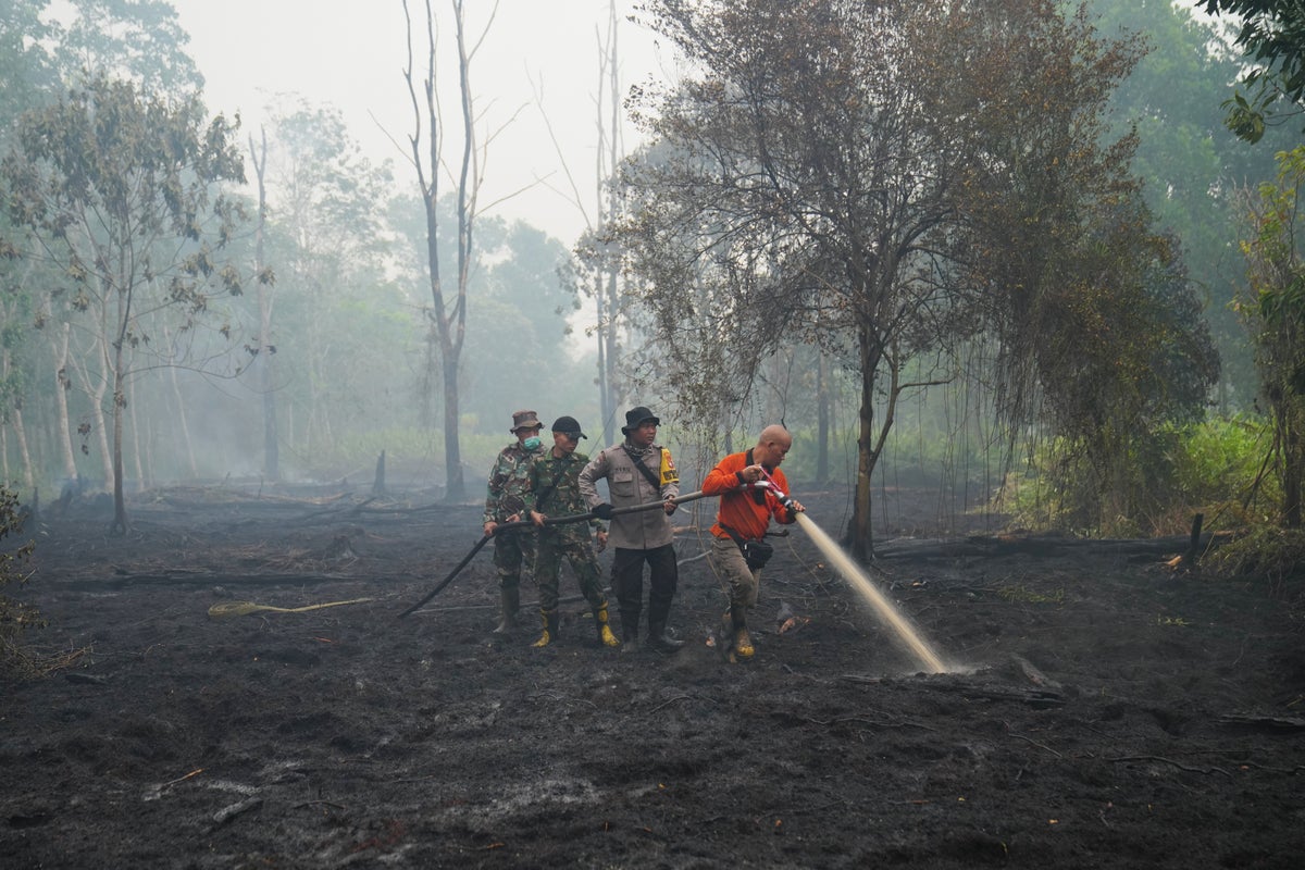 El Niño-driven heat could add nearly half a million heat-related deaths, group warns