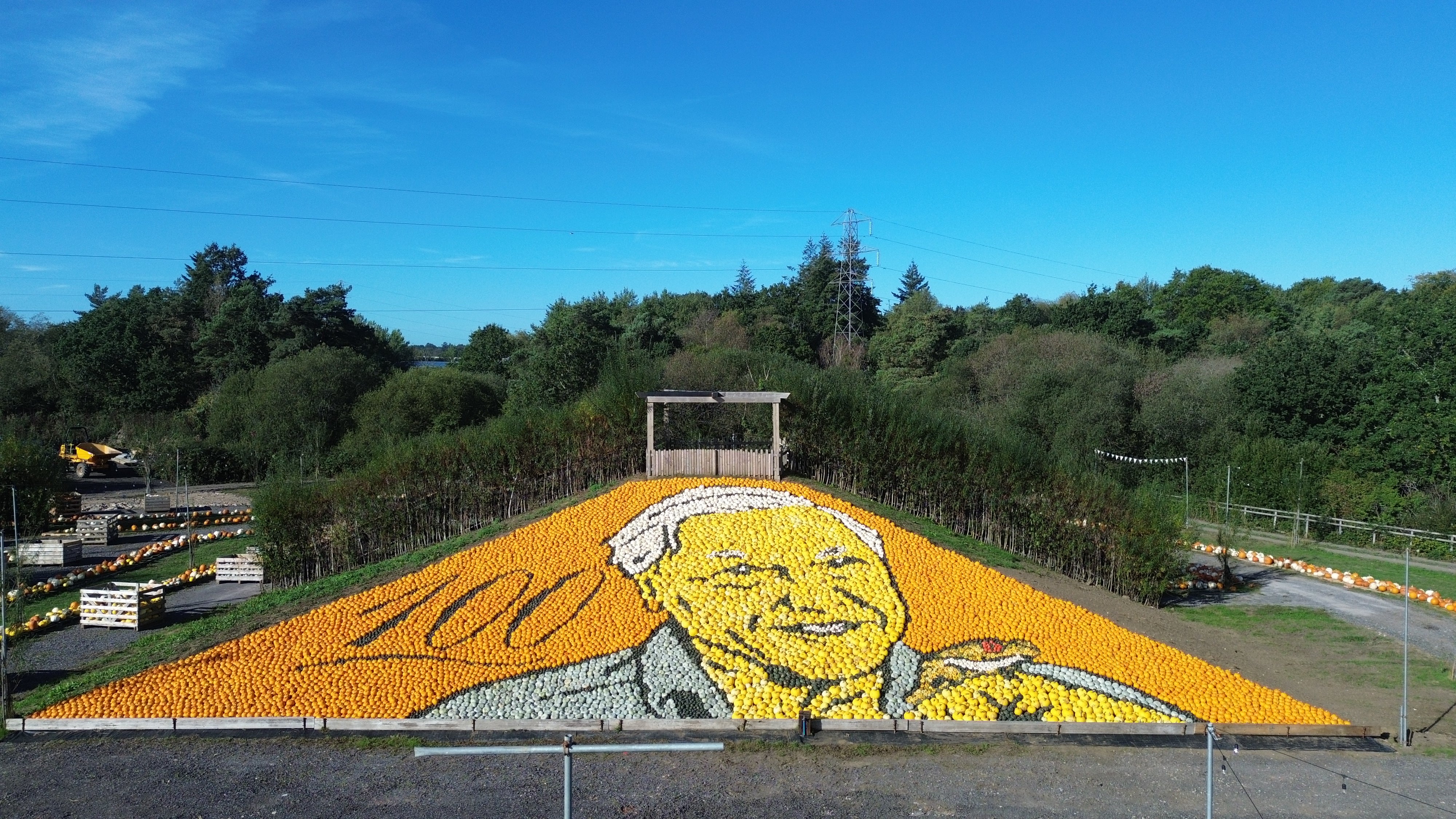 Mosaic of David Attenborough made with 11,000 pumpkins breaks world record
