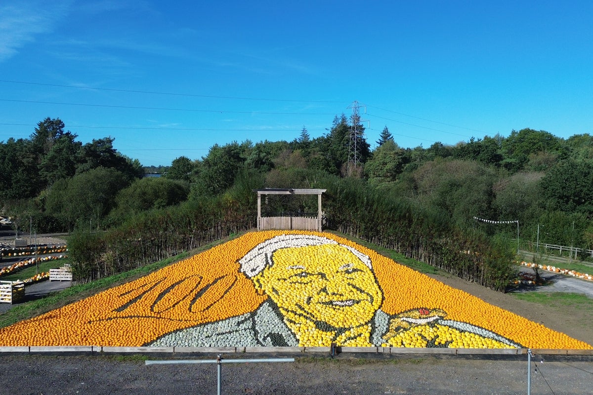 Mosaic of David Attenborough made with 11,000 pumpkins breaks world record