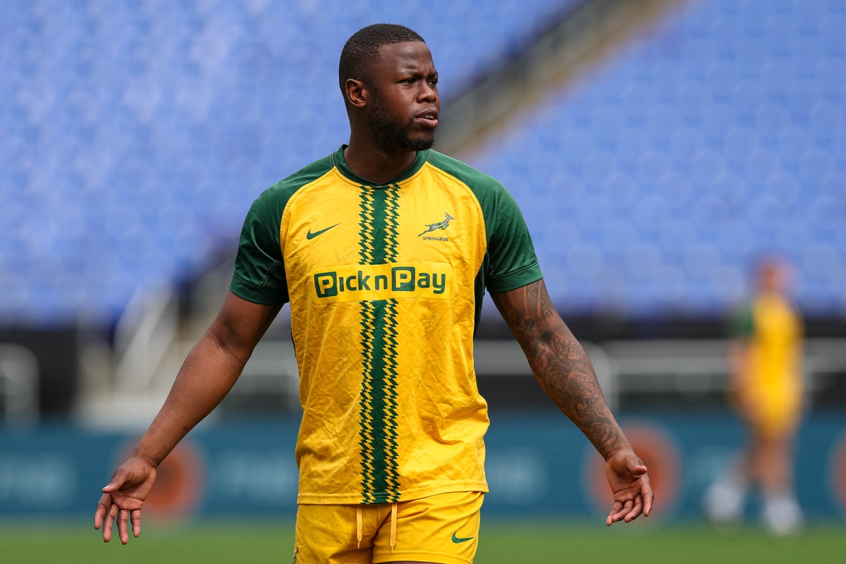 Australia v South Africa LIVE: Latest updates as Wallabies host much-changed Springboks in international clash