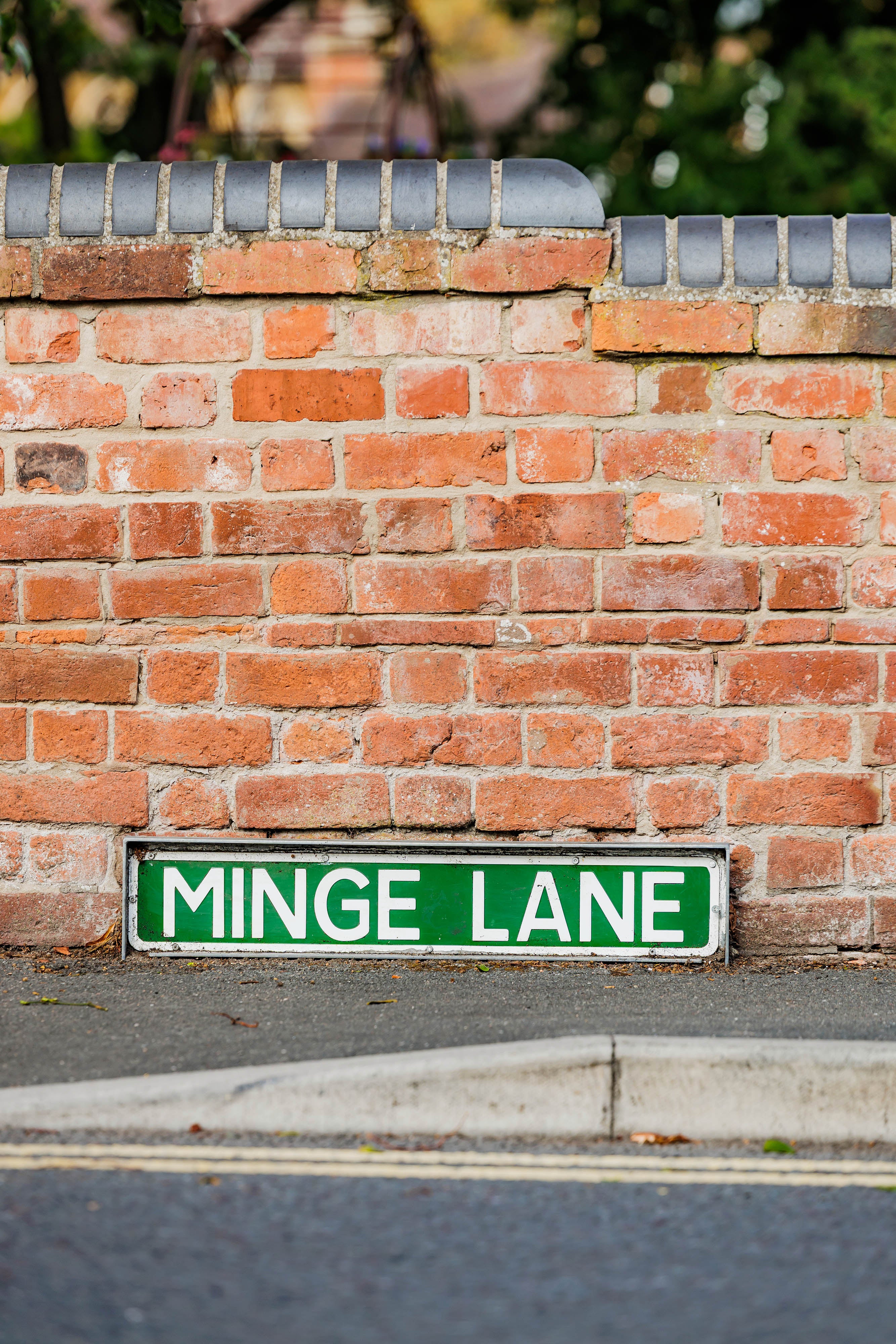 Minge Lane plays host to an annual festival