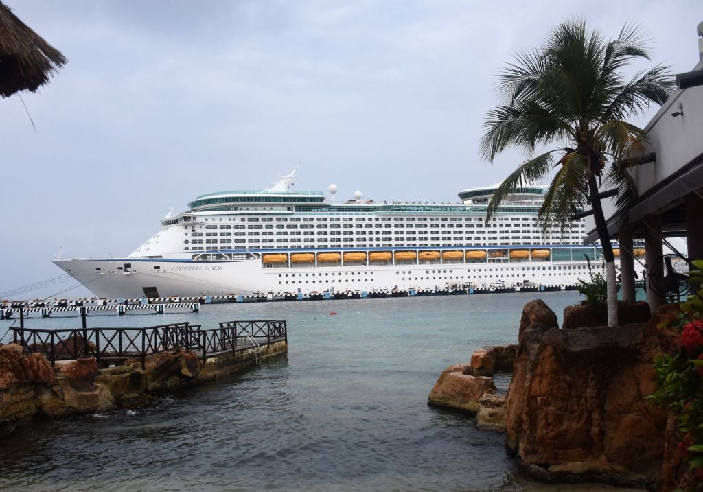 Cruise passengers return to hundreds of baby spiders in their car
