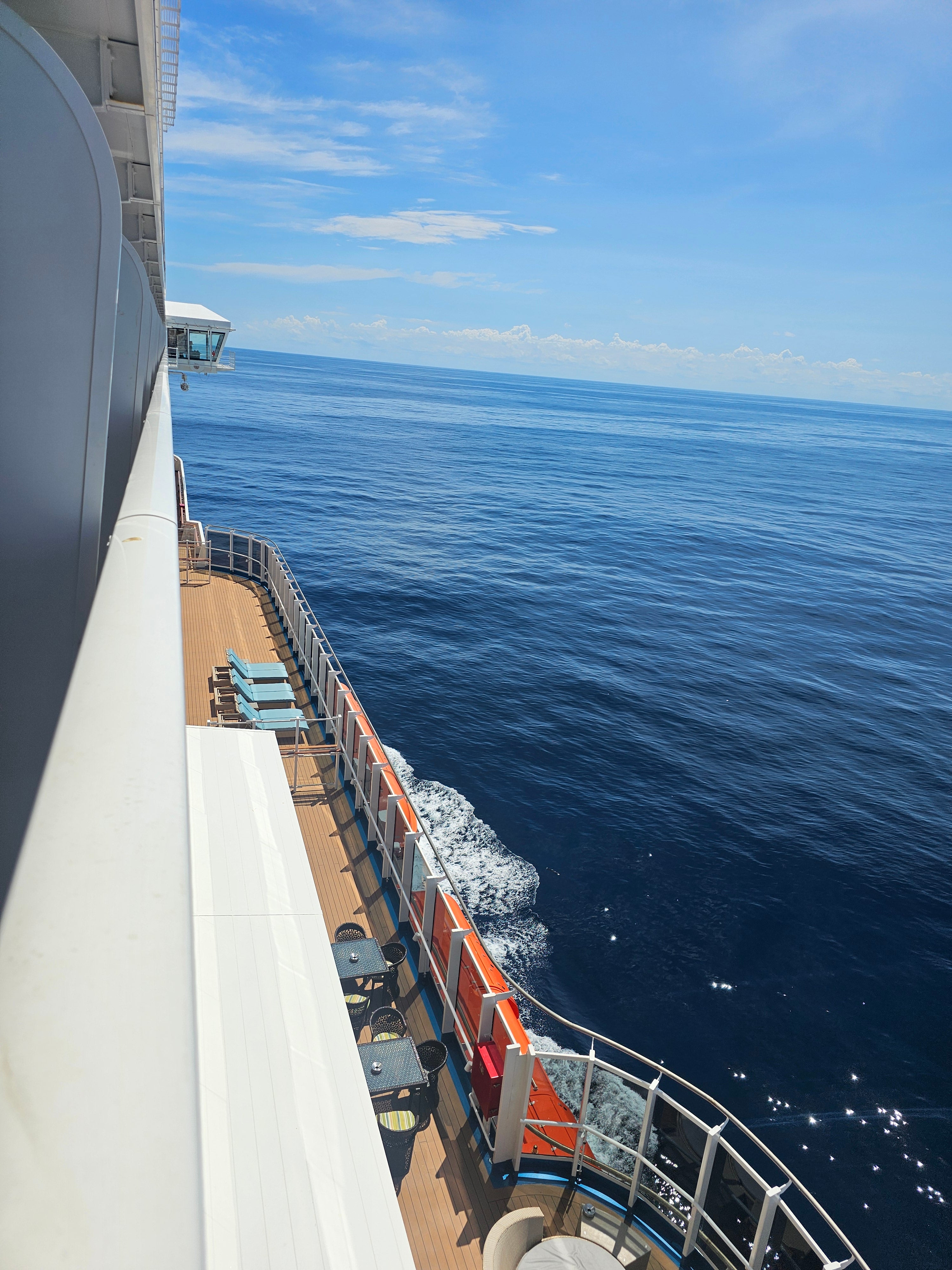 The Carnival Panorama was on a seven-day cruise when a passenger went overboard (Tommy McGraw)