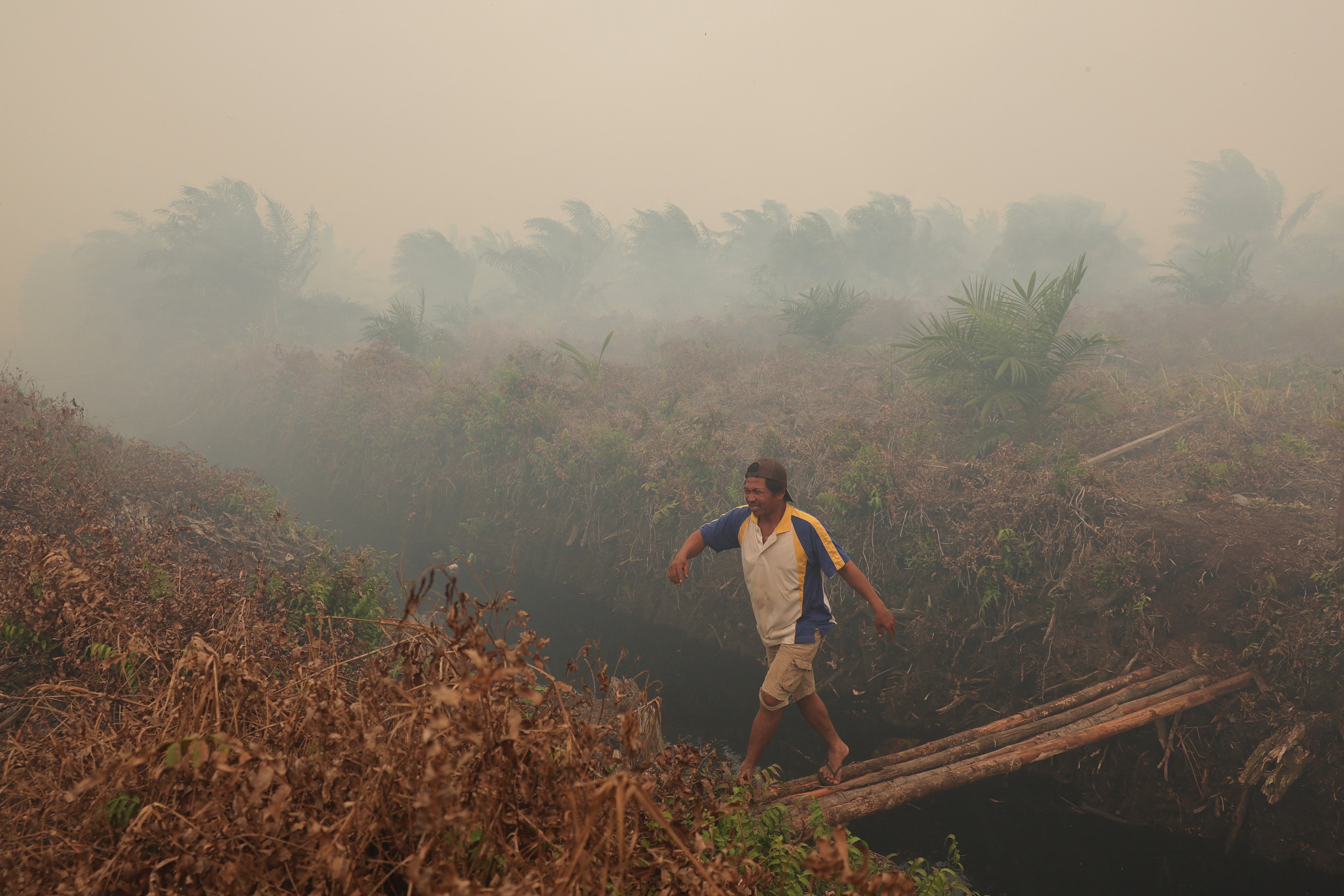 Local farmer Adi Pangestu walks across a makeshift bridge over a canal to check his palm oil plantation as wildfires burn the area in Sungai Putri, a wildfire-affected peatland area, in Ketapang regency, West Kalimantan province, Indonesia (Reuters)