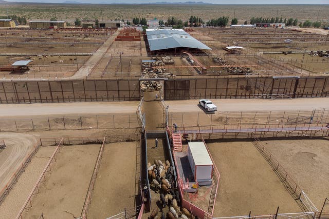 Part of a border wall between the US and Mexico