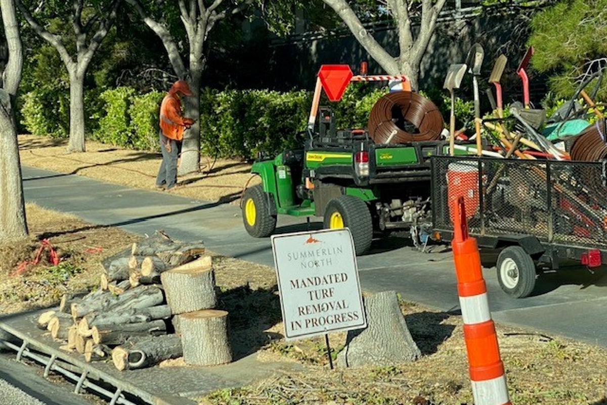 Las Vegas betting on artificial turf in parks due to water shortage, but residents call it a bust