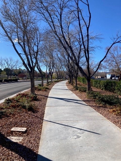 The city plans to remove grass in unusable areas like parking lots from 15 parks, officials sai