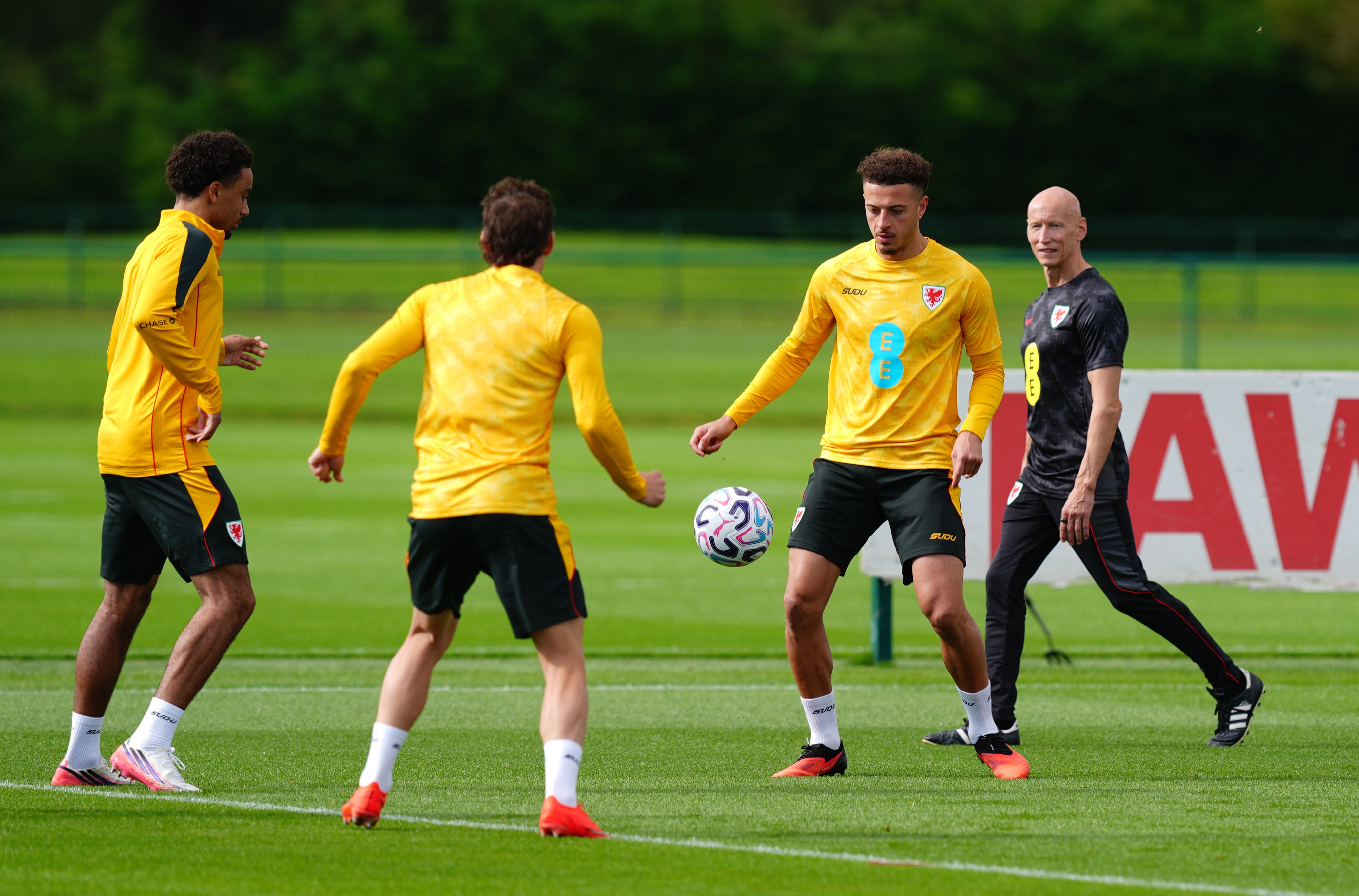 Wales have a few injuries to deal with (PA)